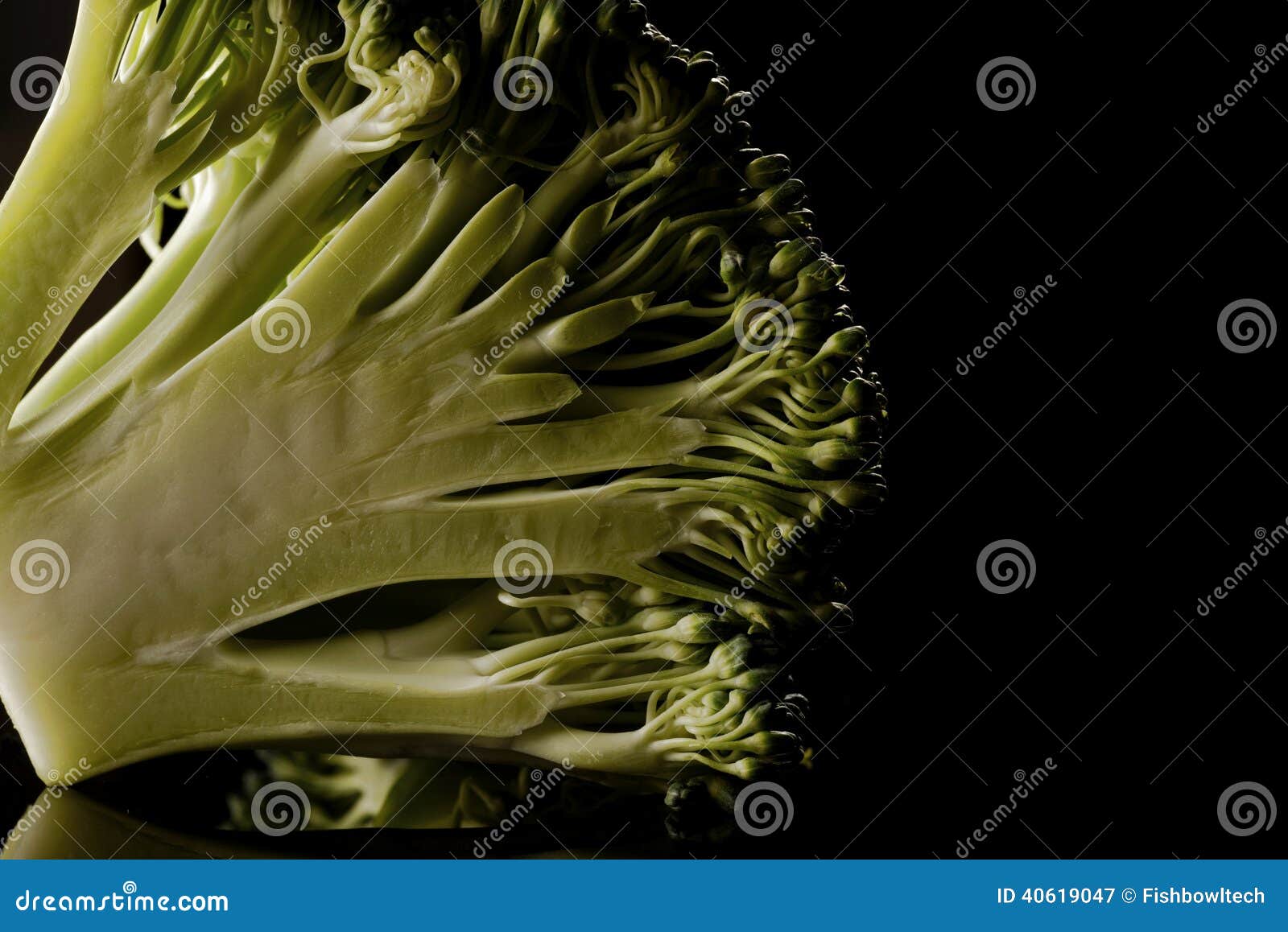 Broccoli florets stock image. Image of florets, garden 40619047