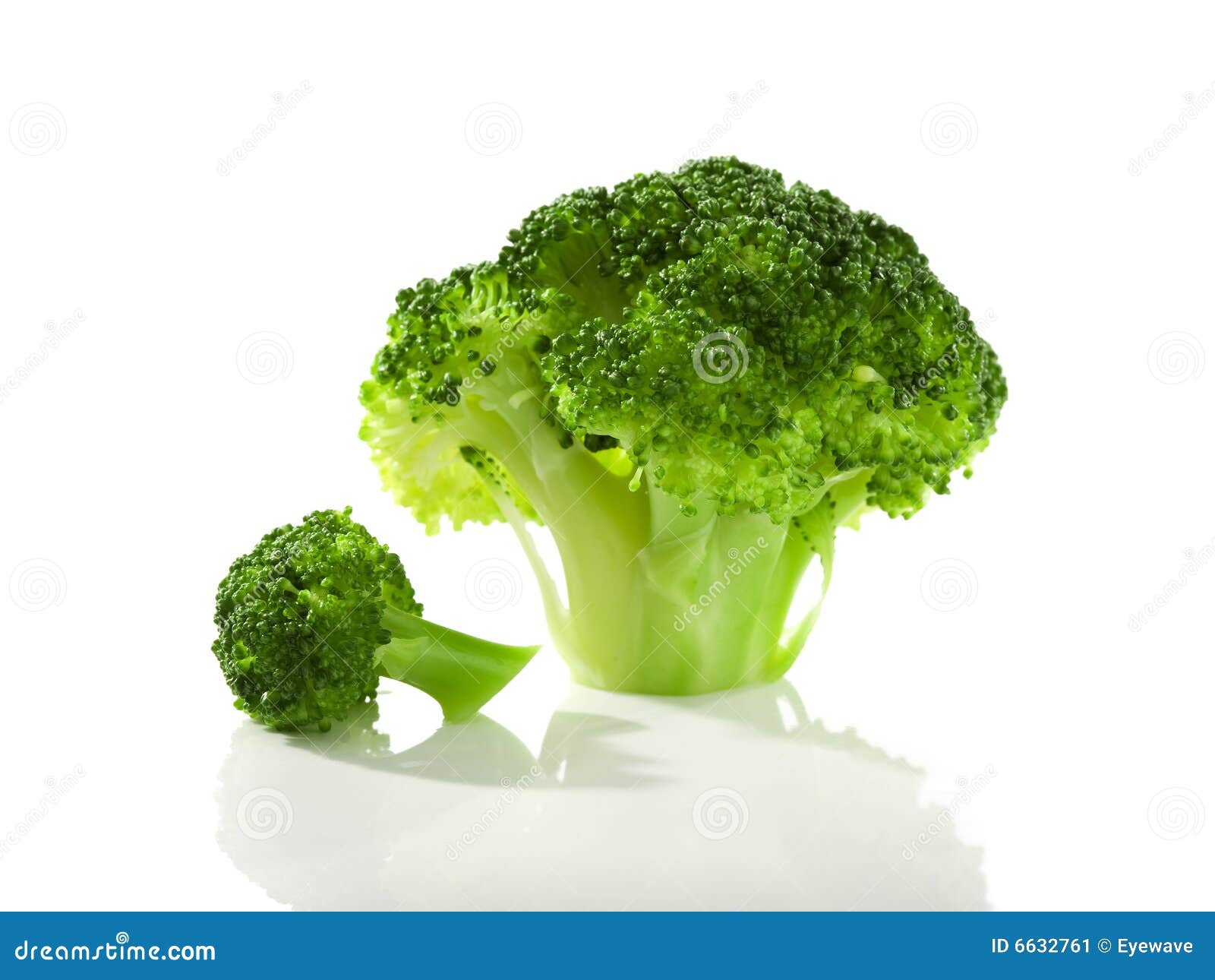 Broccoli florets isolated stock image. Image of white 6632761