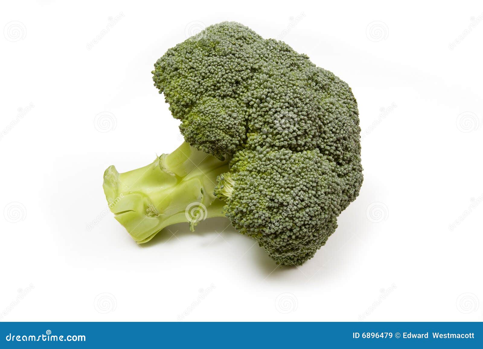Broccoli flower head stock image. Image of flowering, brassica 6896479
