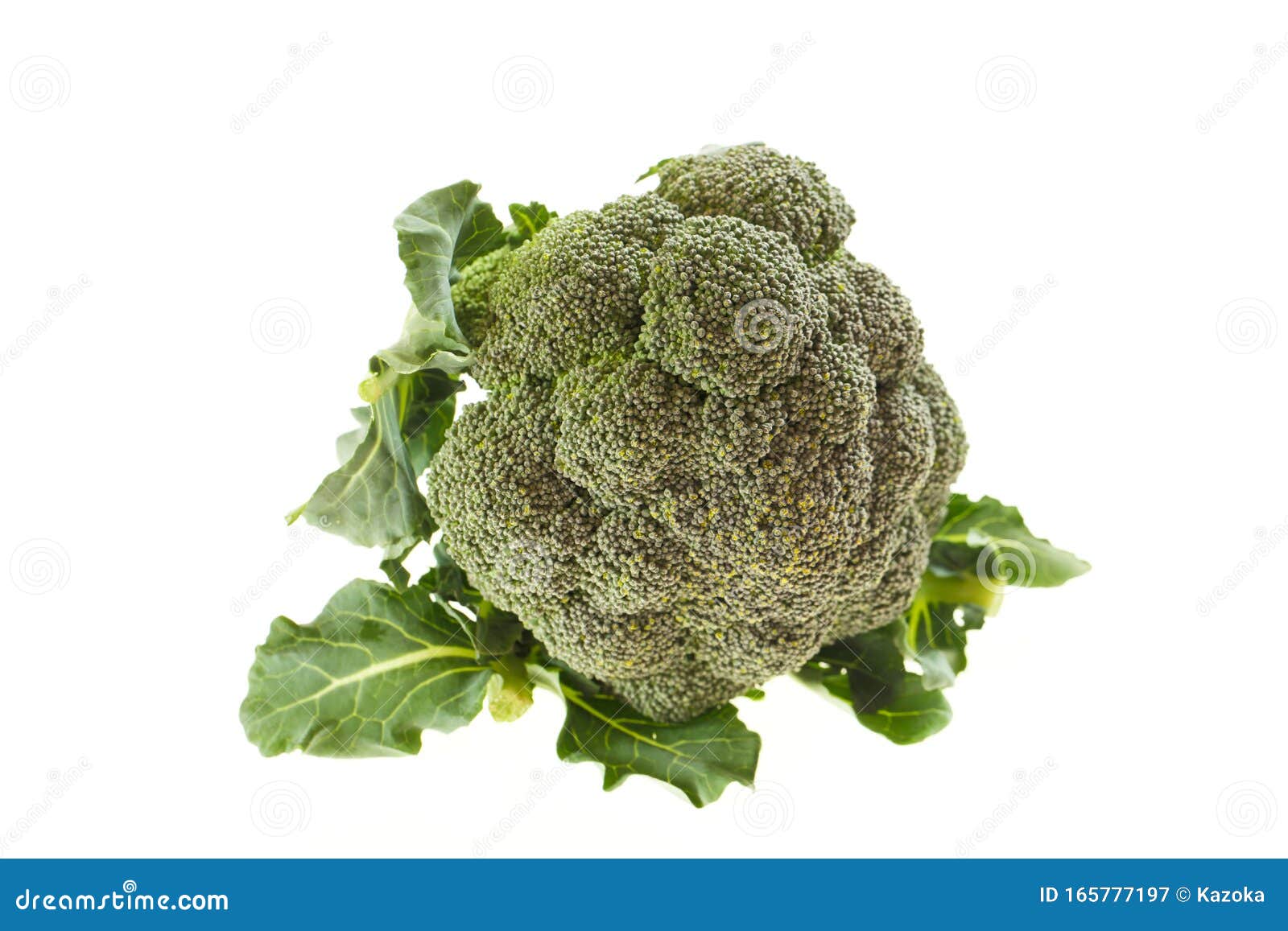 Broccoli, Freshly Harvested Vegetables from Japan Stock Image Image