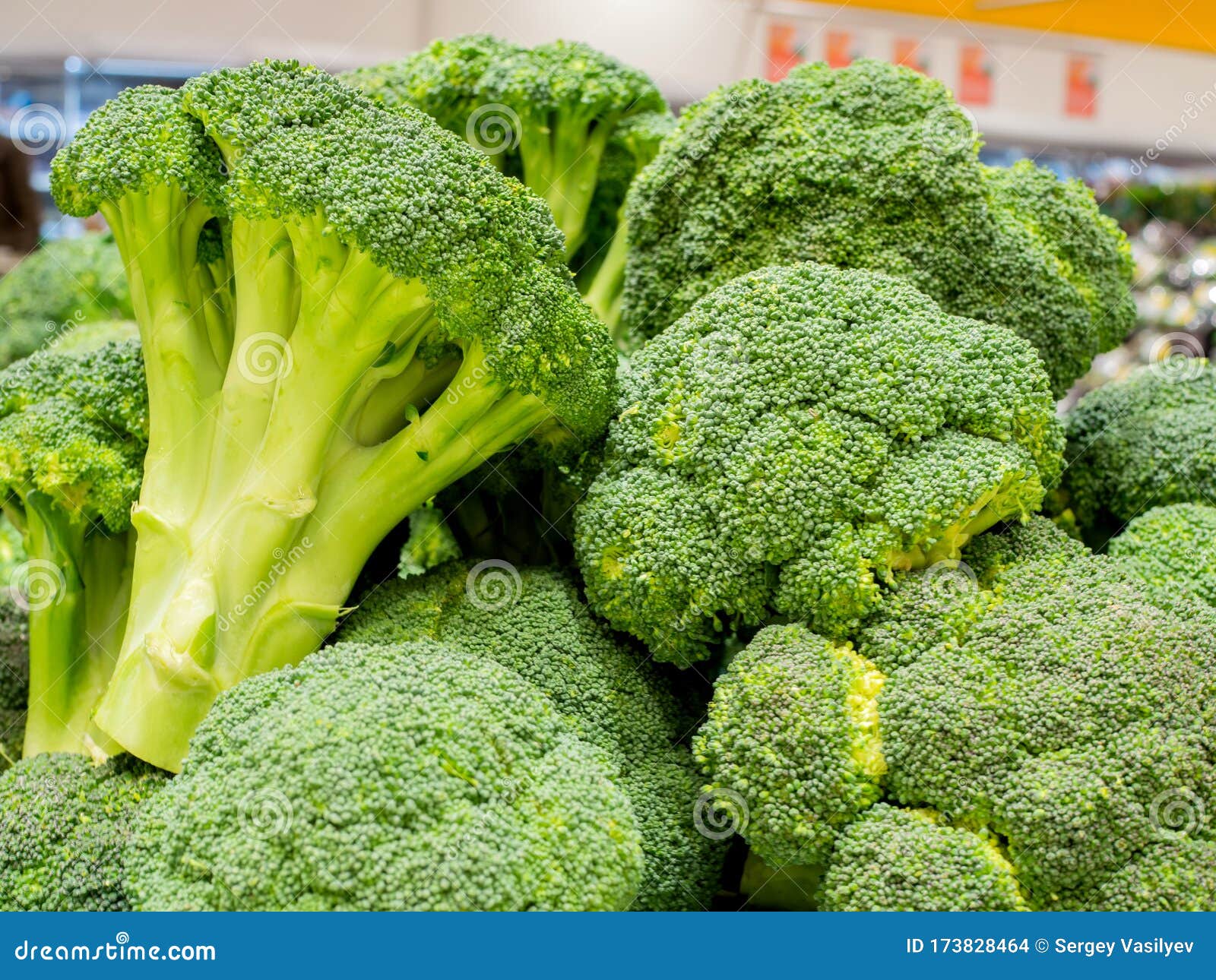 Broccoli Green Inflorescence on Ice Stock Photo Image of nutrition, green 173828464