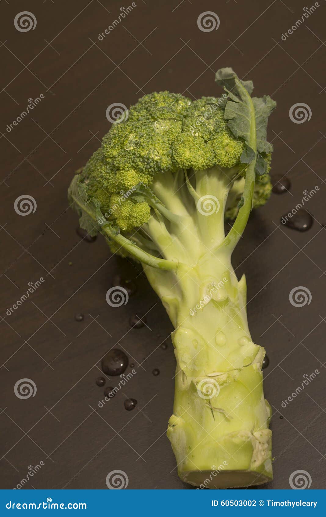 Broccoli stock photo. Image of organic, broccoli, fresh 60503002