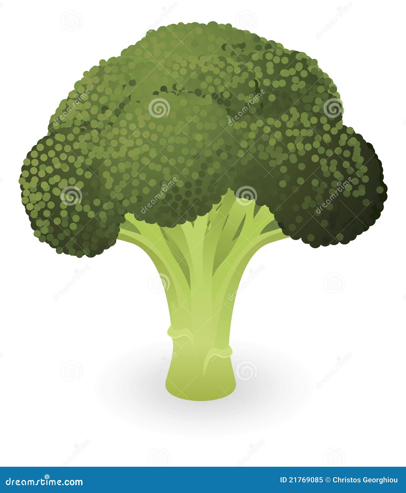 Broccoli illustration stock vector. Illustration of agriculture 21769085