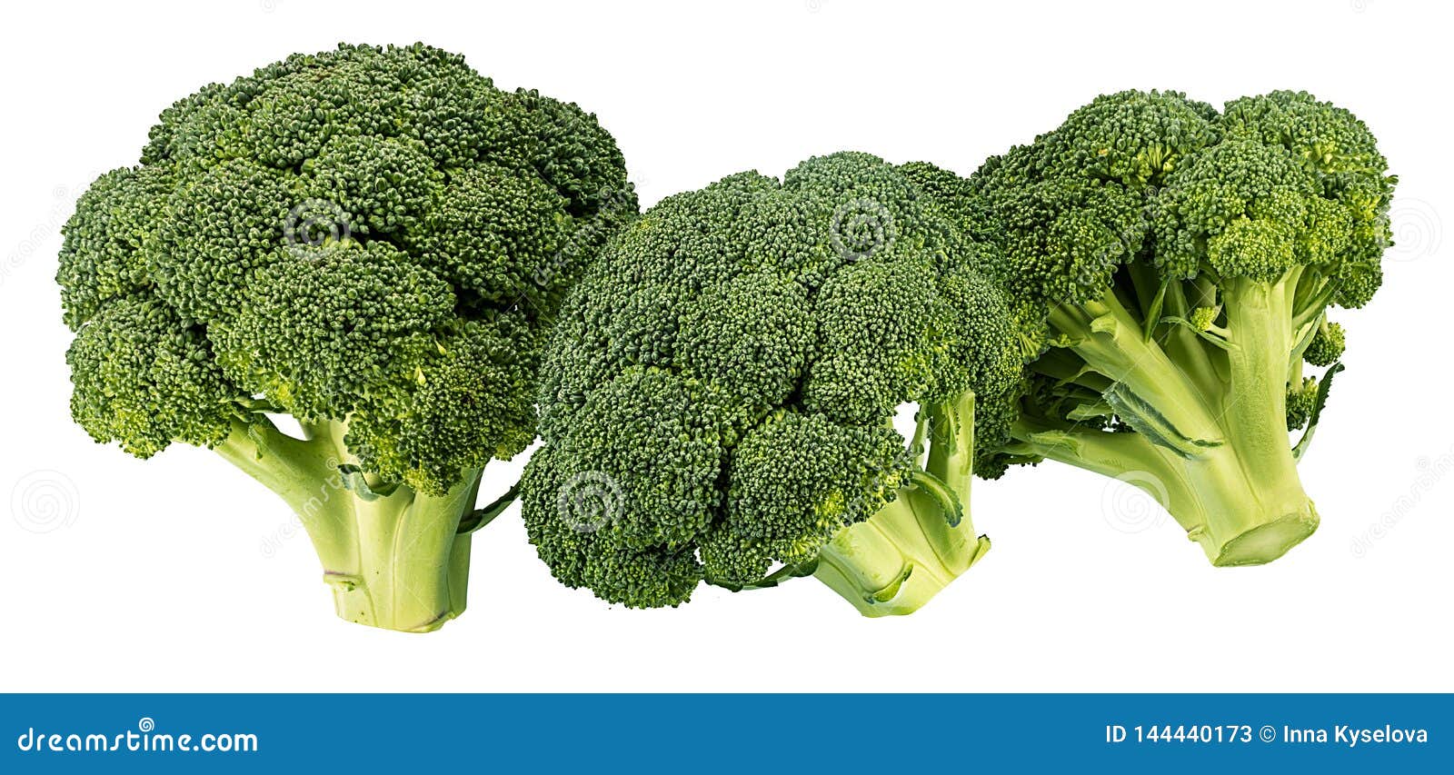 Broccoli isolated on white stock image. Image of ingredient 144440173