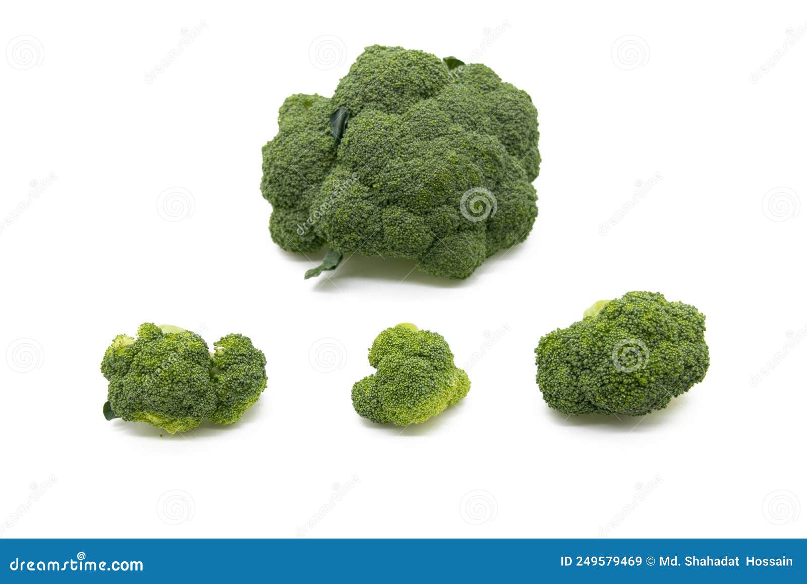 Broccoli Isolated on White. Set of Fresh Broccoli Stock Image Image