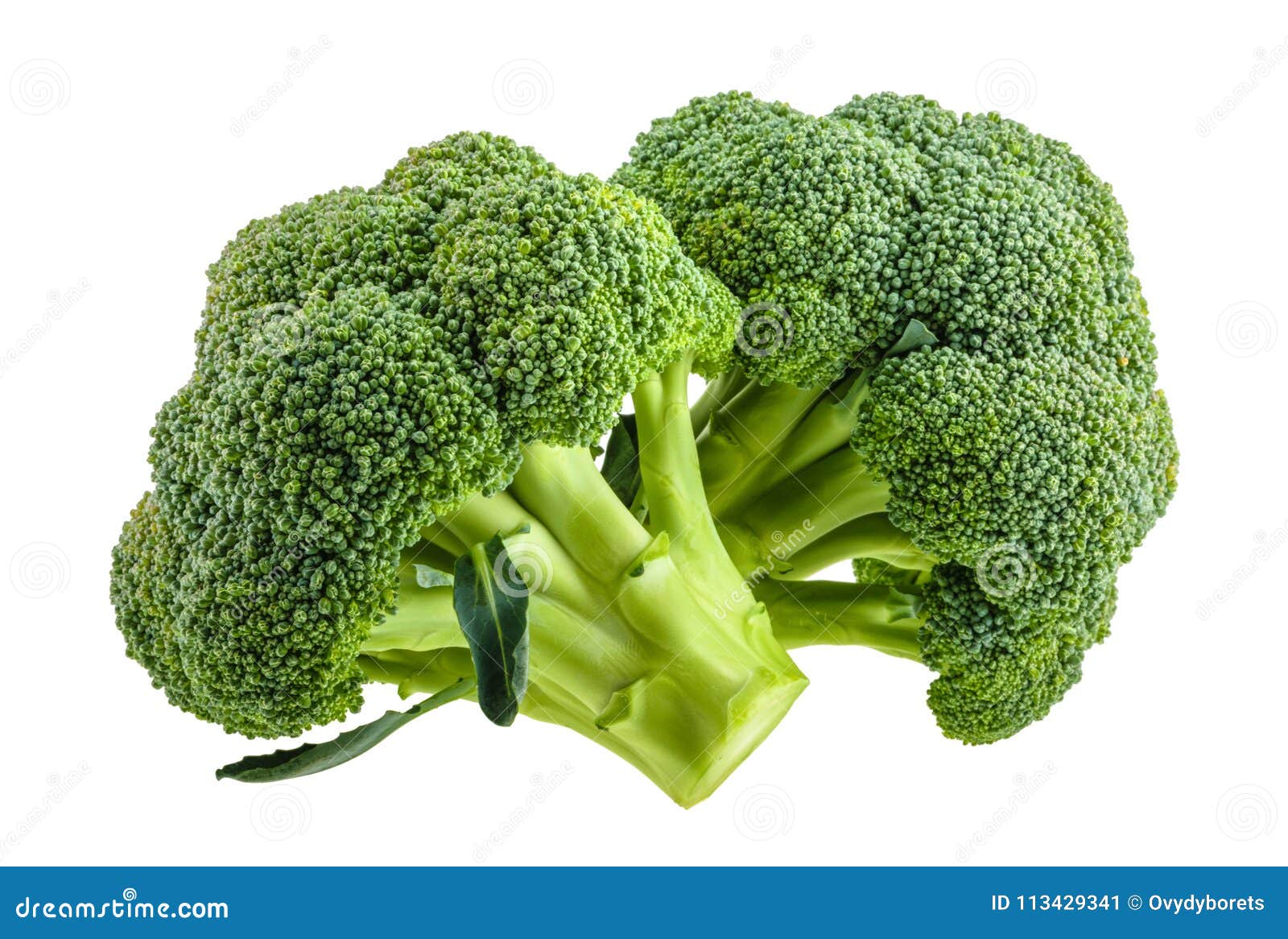 broccoli  on white without shadow