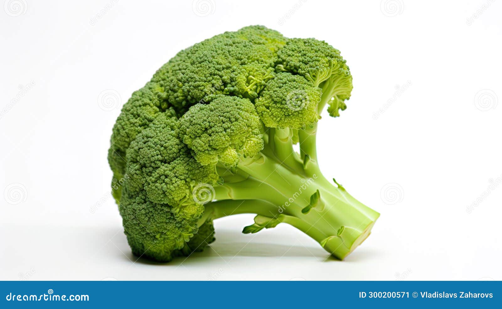 Broccoli in Isolation on a Pure White Background Stock Illustration