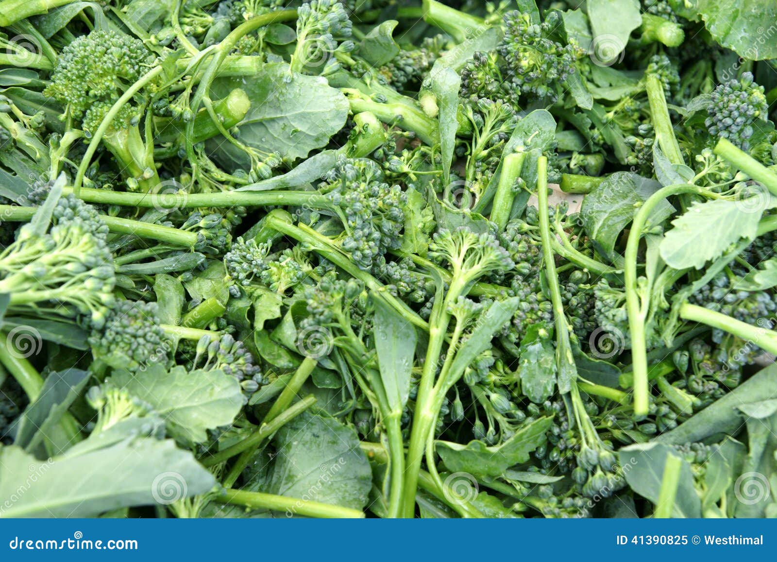 broccoli raab, italian broccoli rabe