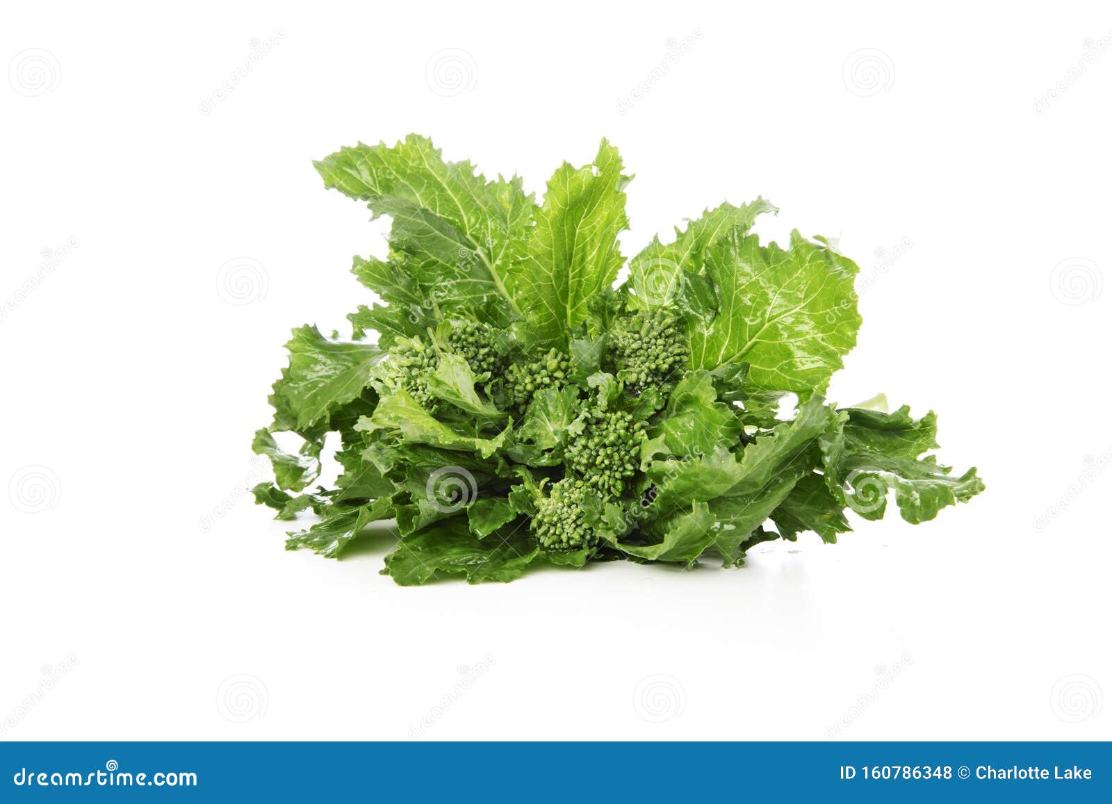 broccoli rabe 