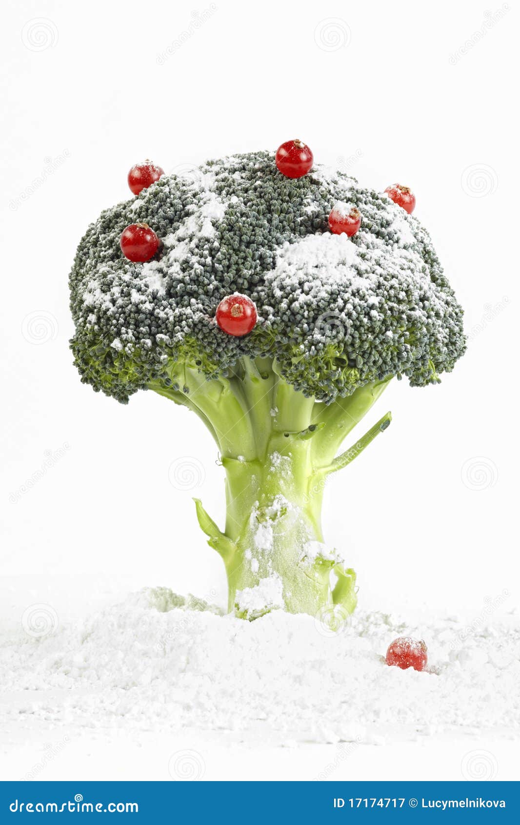 Broccoli snow tree stock image. Image of snow, white 17174717