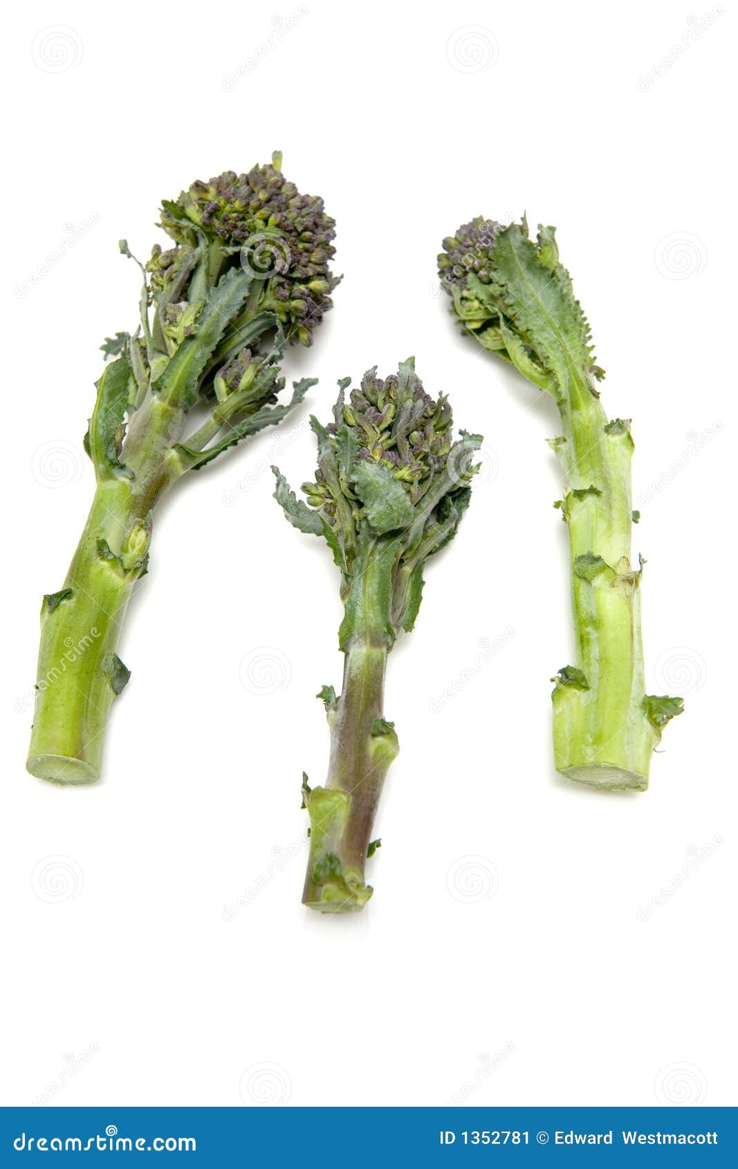 Broccoli stalks stock image. Image of stalks, vitamin 1352781