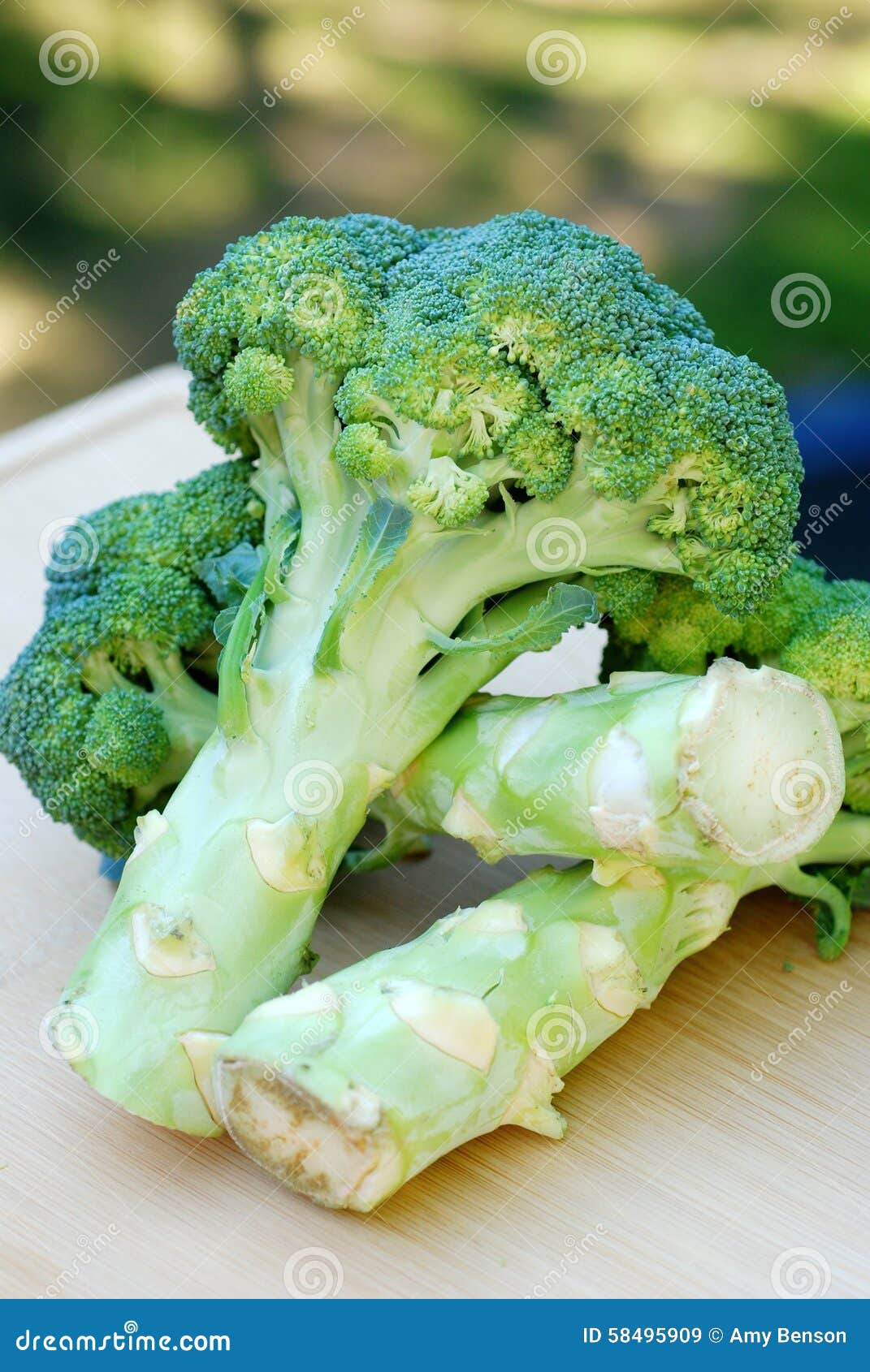 Broccoli stock image. Image of stalks, close, tree, healthy 58495909