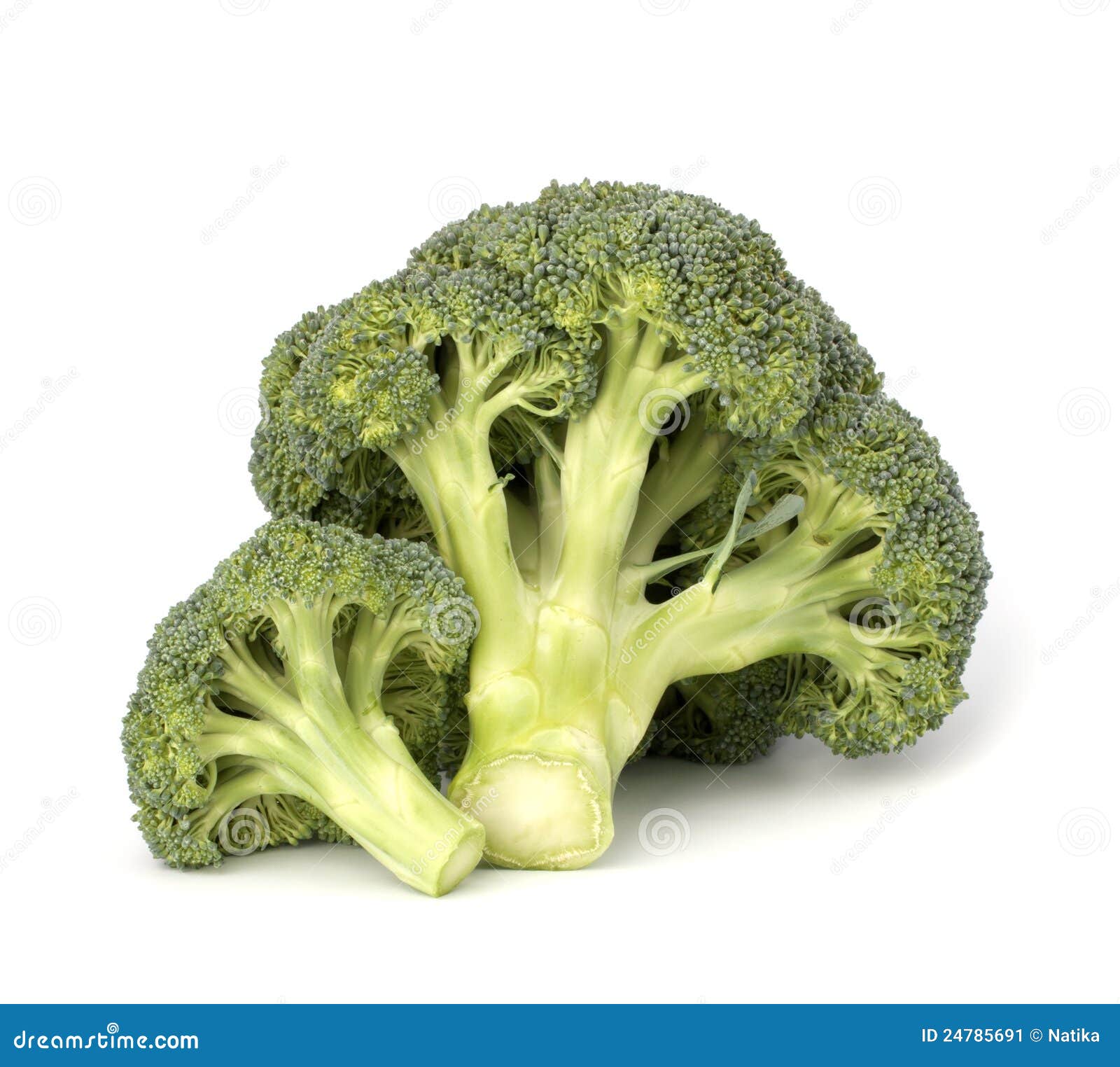 Broccoli vegetable stock image. Image of background, group 24785691