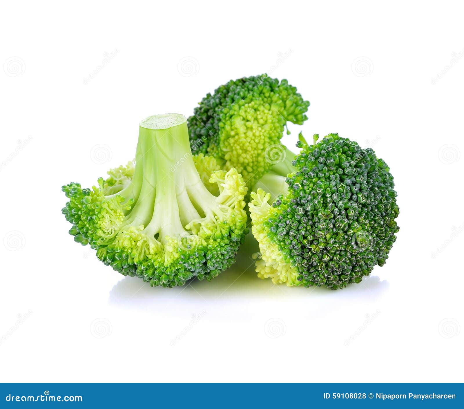 Broccoli vegetable stock photo. Image of clean, brocolli 59108028