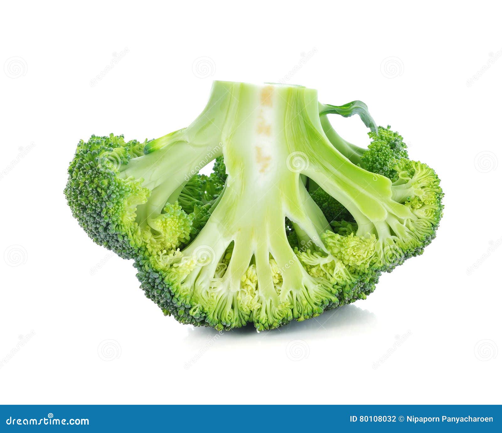 Broccoli vegetable stock photo. Image of crunchy, gourmet 80108032