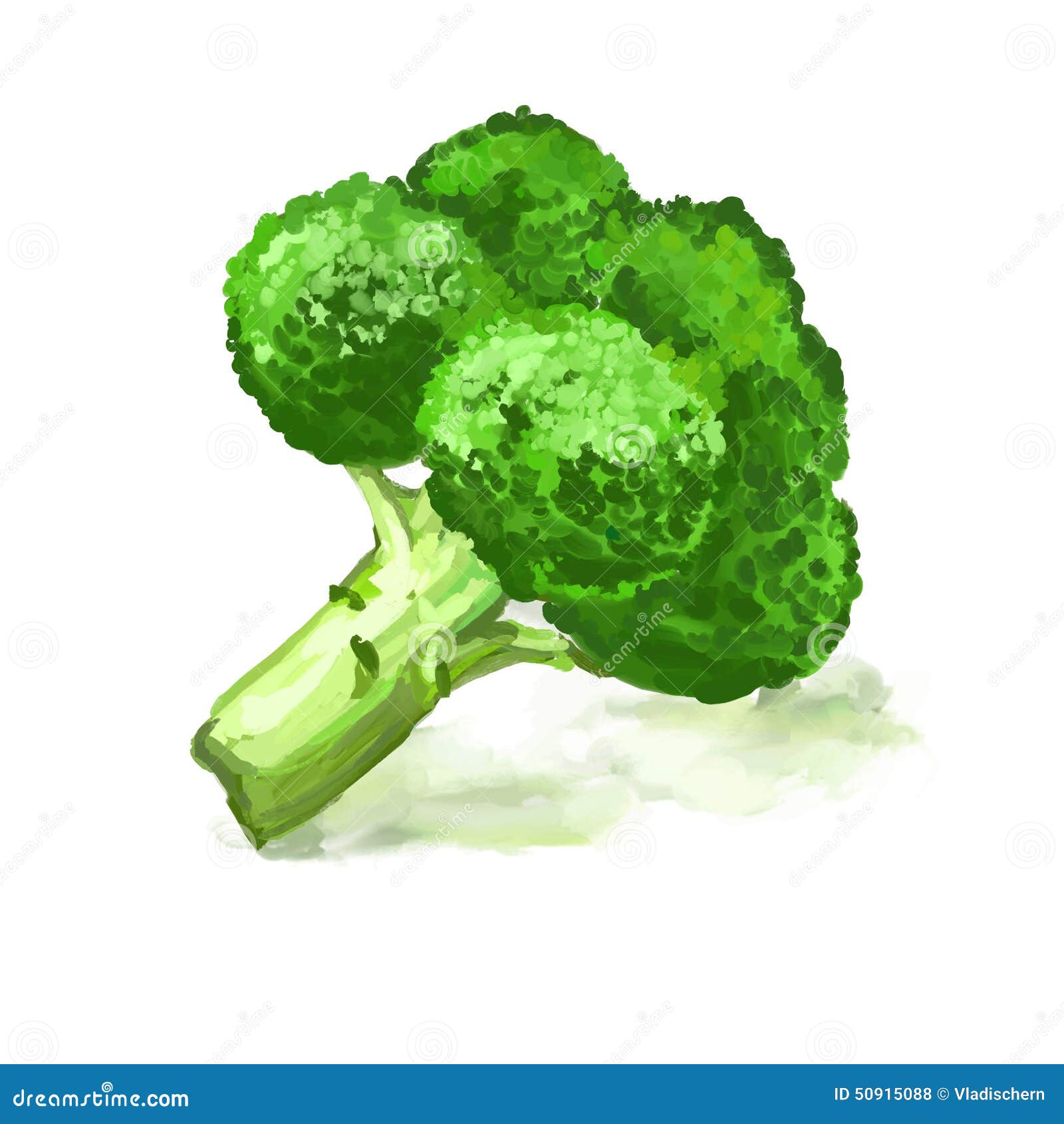 Green Leafy Vegetables Drawing - Vegetarian Foody's