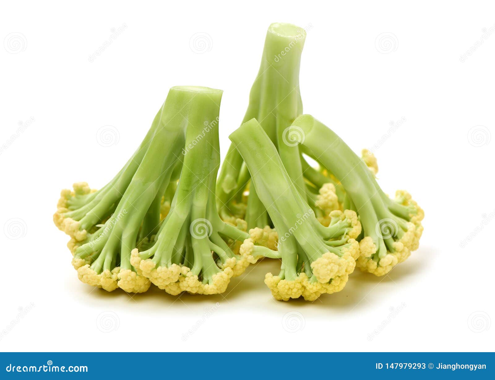 Broccoli vegetable stock image. Image of crispy, food 147979293