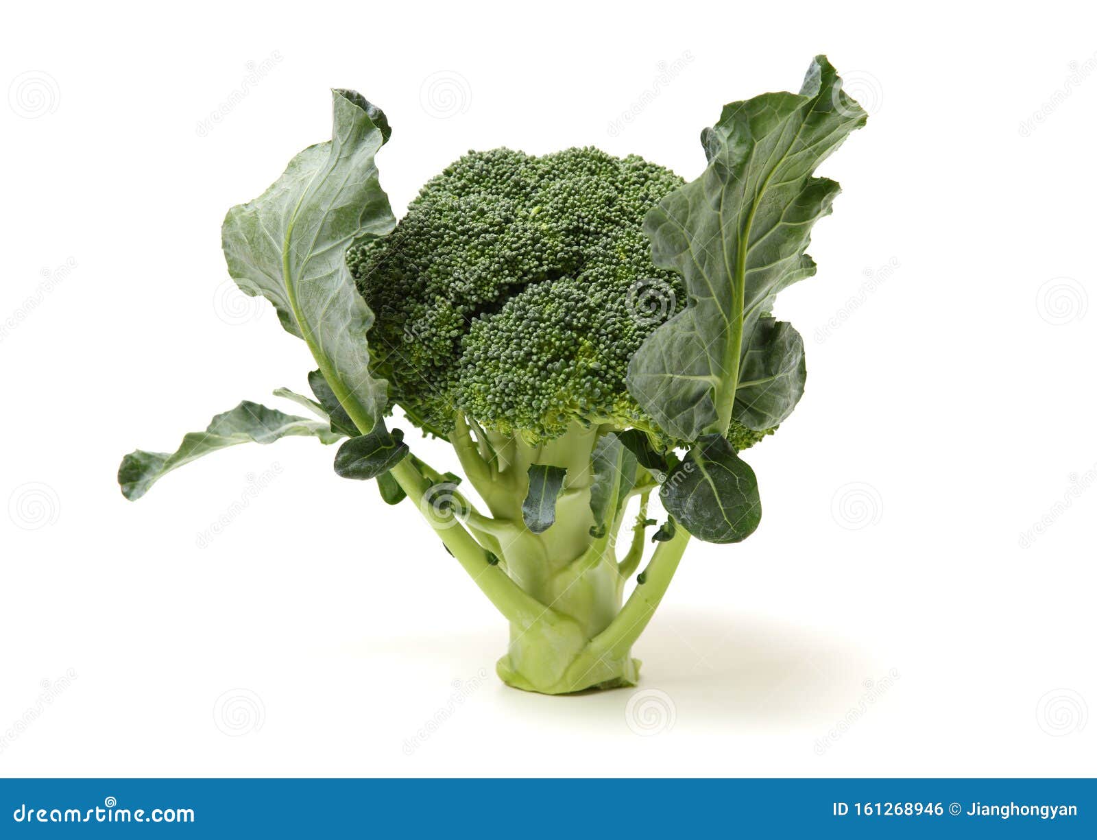 Broccoli vegetable stock photo. Image of calorie, juicy 161268946