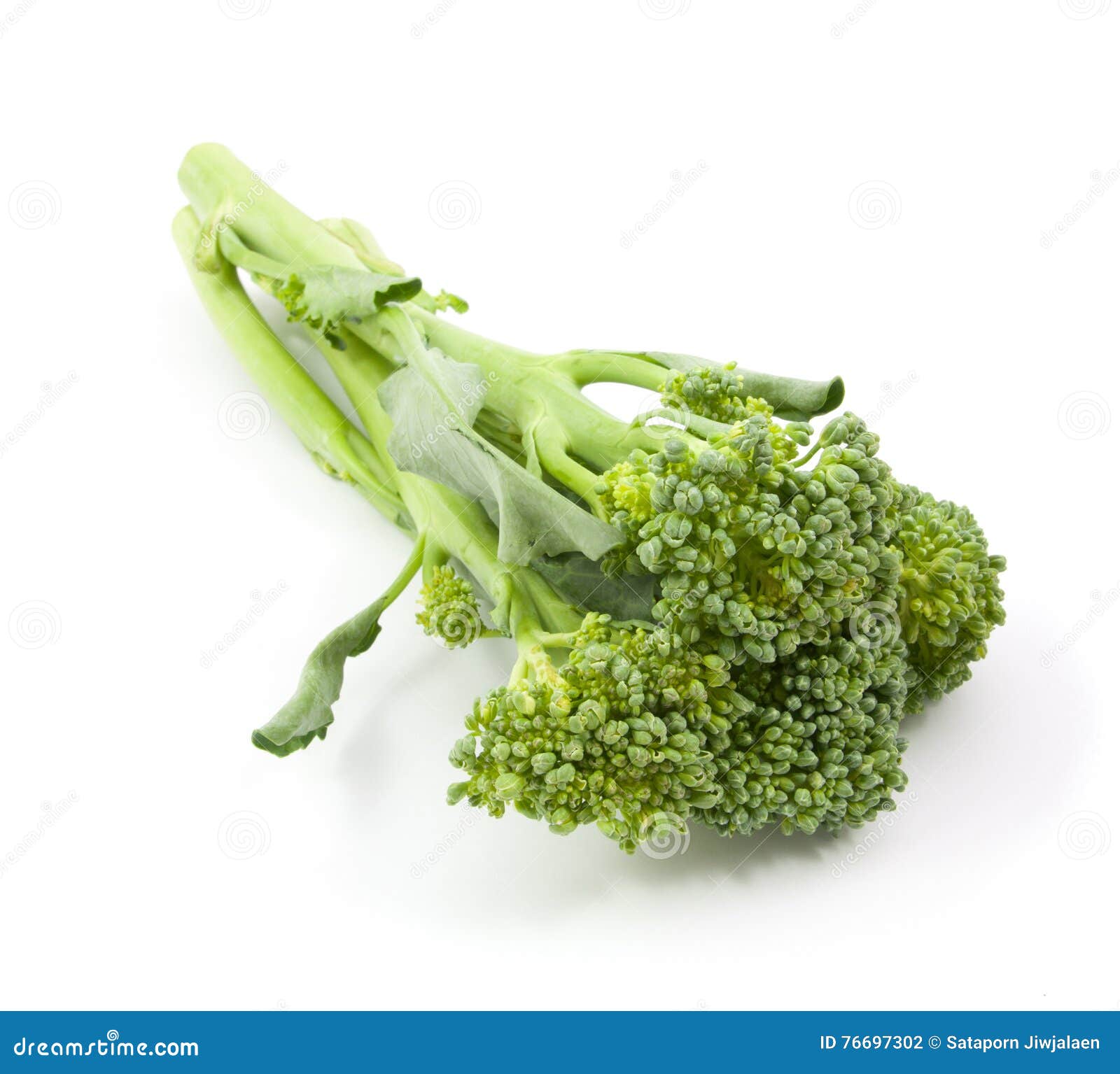 Broccolini Baby Broccoli Isolated Stock Photo Image of nutrition