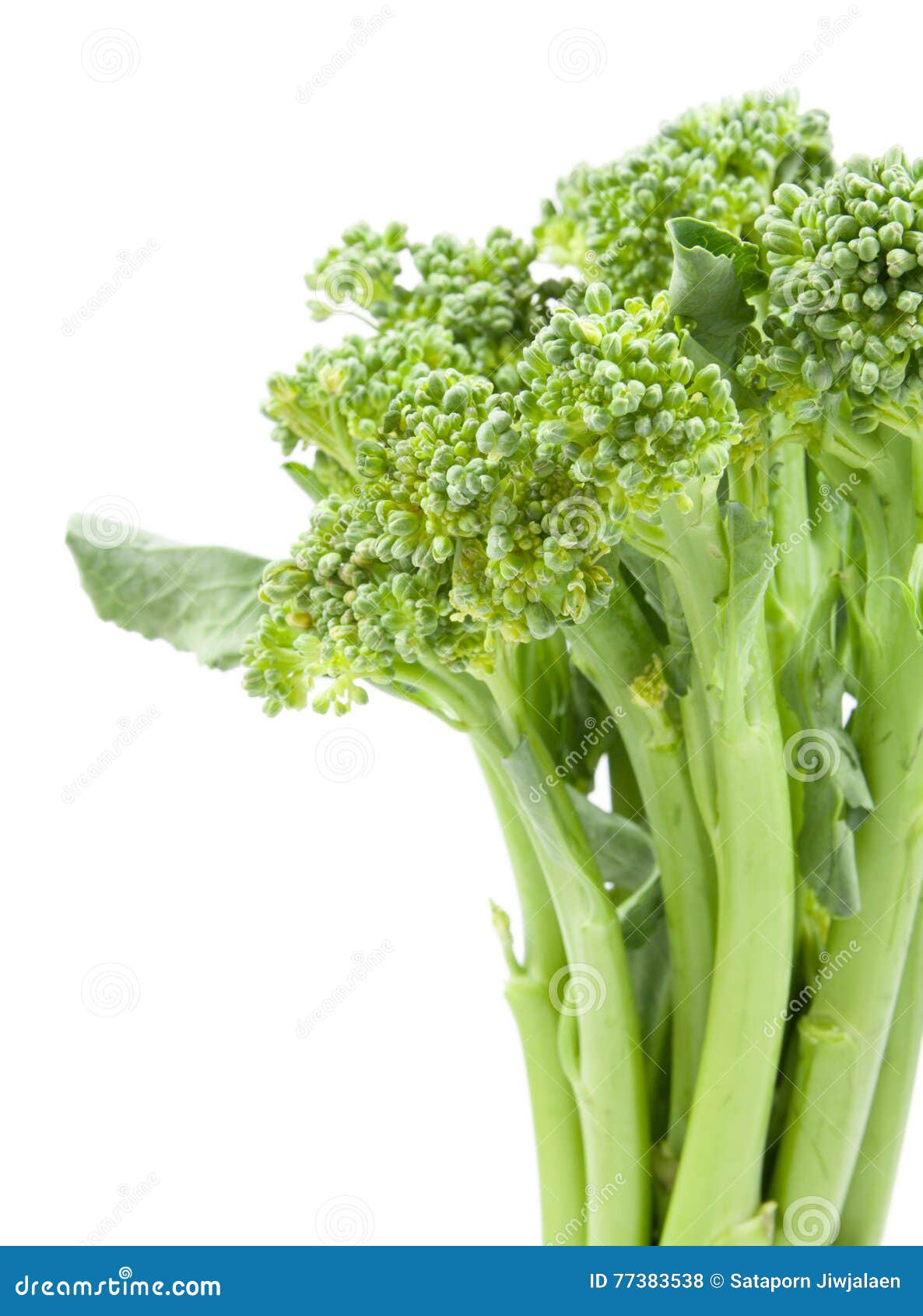 Broccolini Baby Broccoli Isolated Stock Photo Image of health