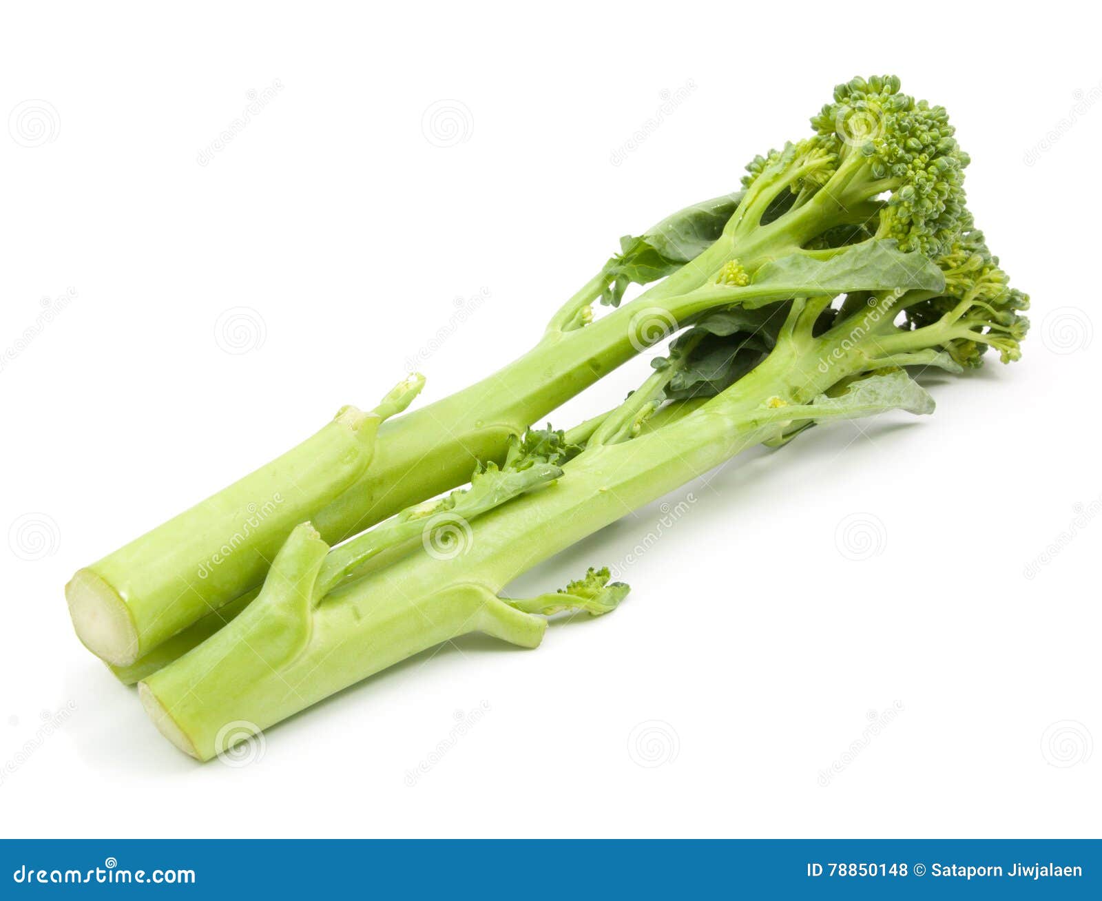 Broccolini Baby Broccoli Isolated Stock Photo Image of chinese