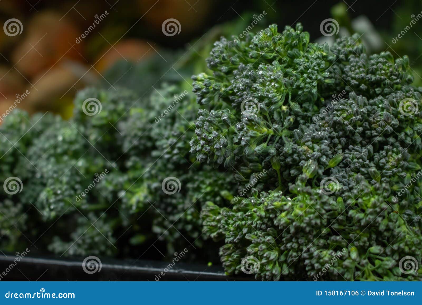 Broccolini at the store stock photo. Image of stack 158167106