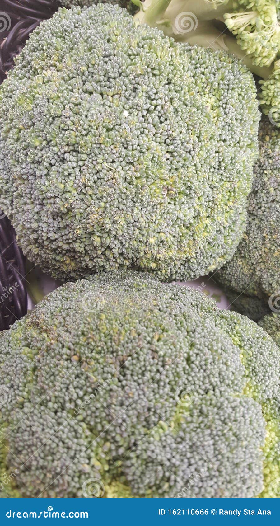 brocolli close up view, al quoz dubai