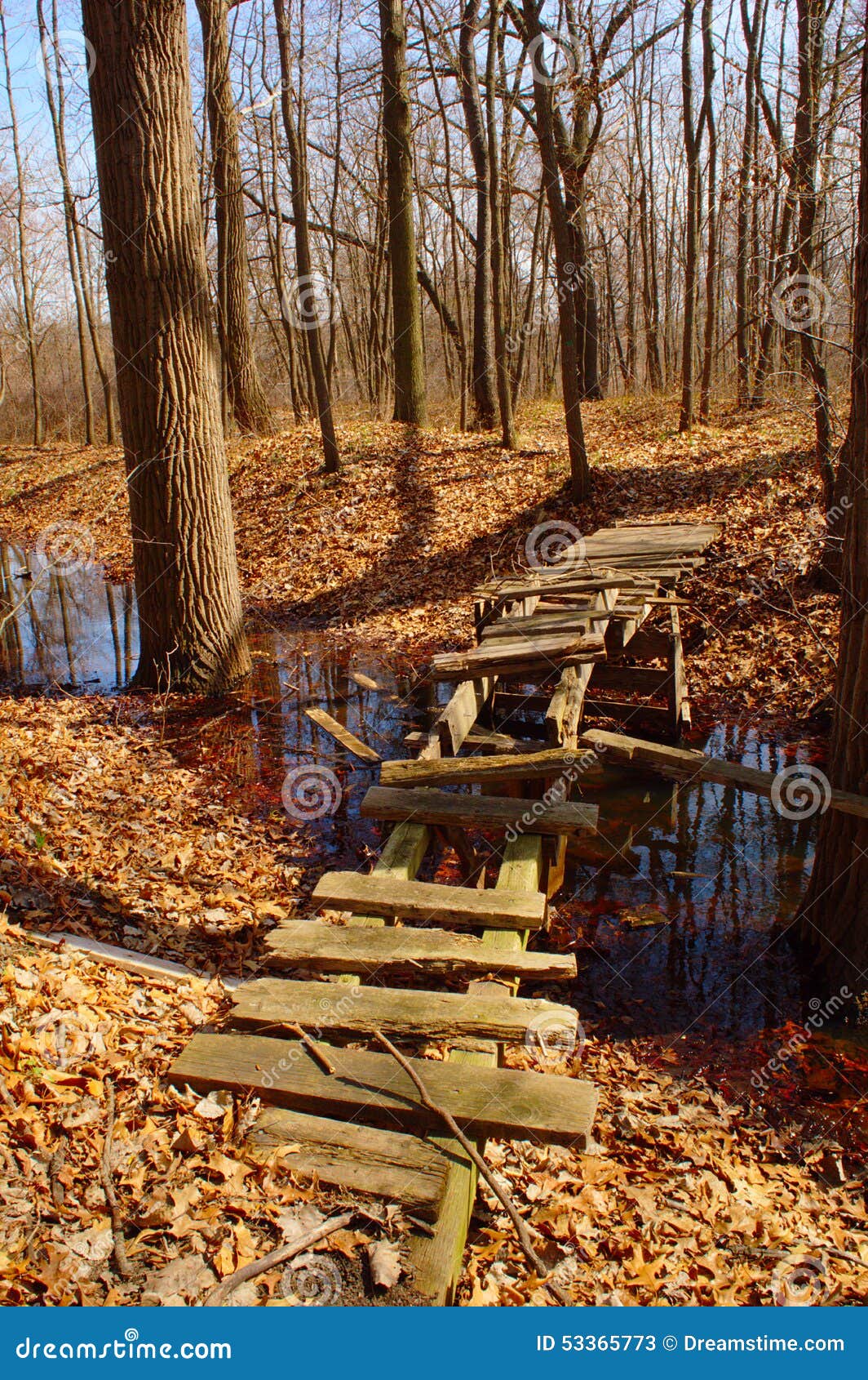 Broken Bridge Stock Image Image Of Forest Stream Bridge 53365773