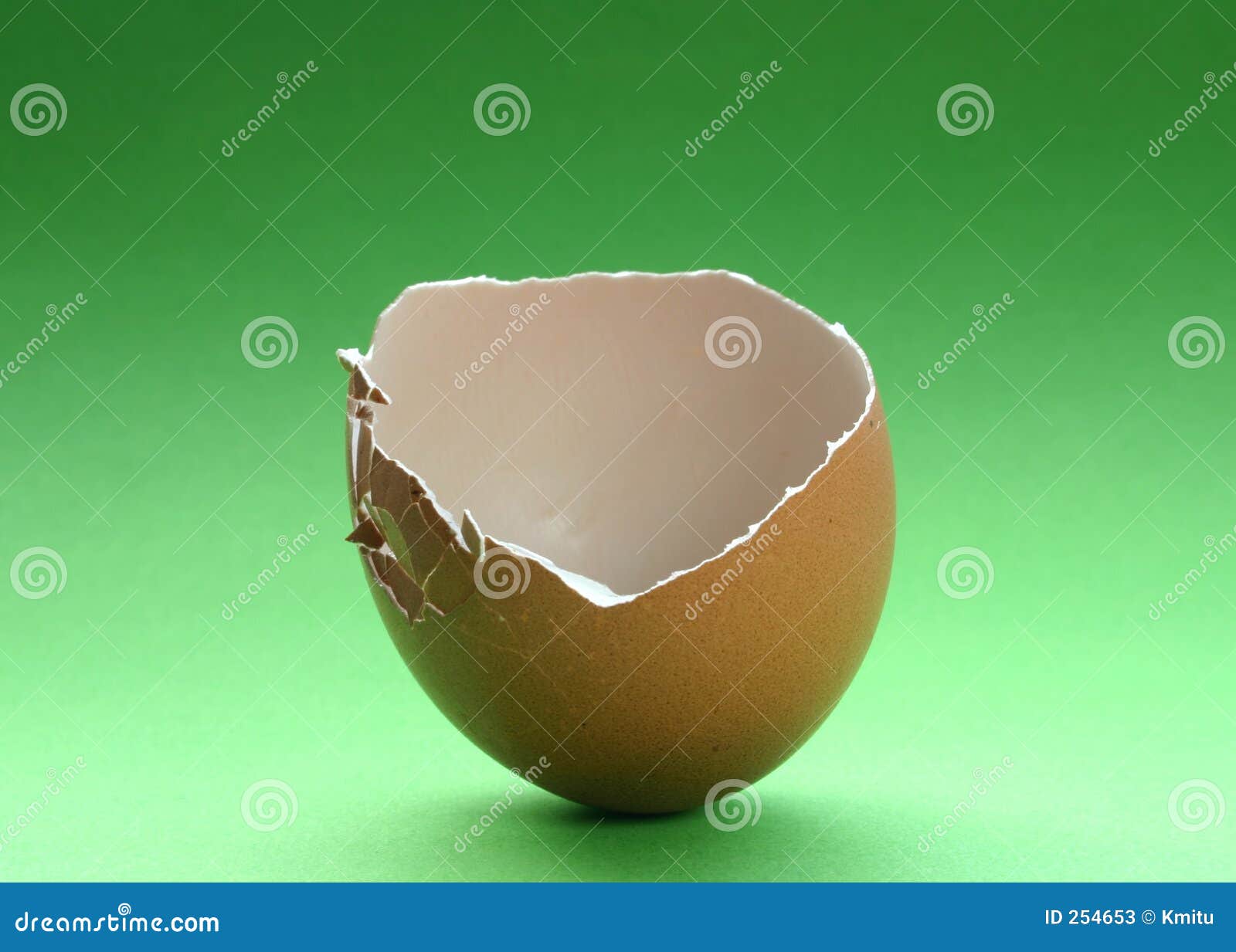 broken eggshell #3