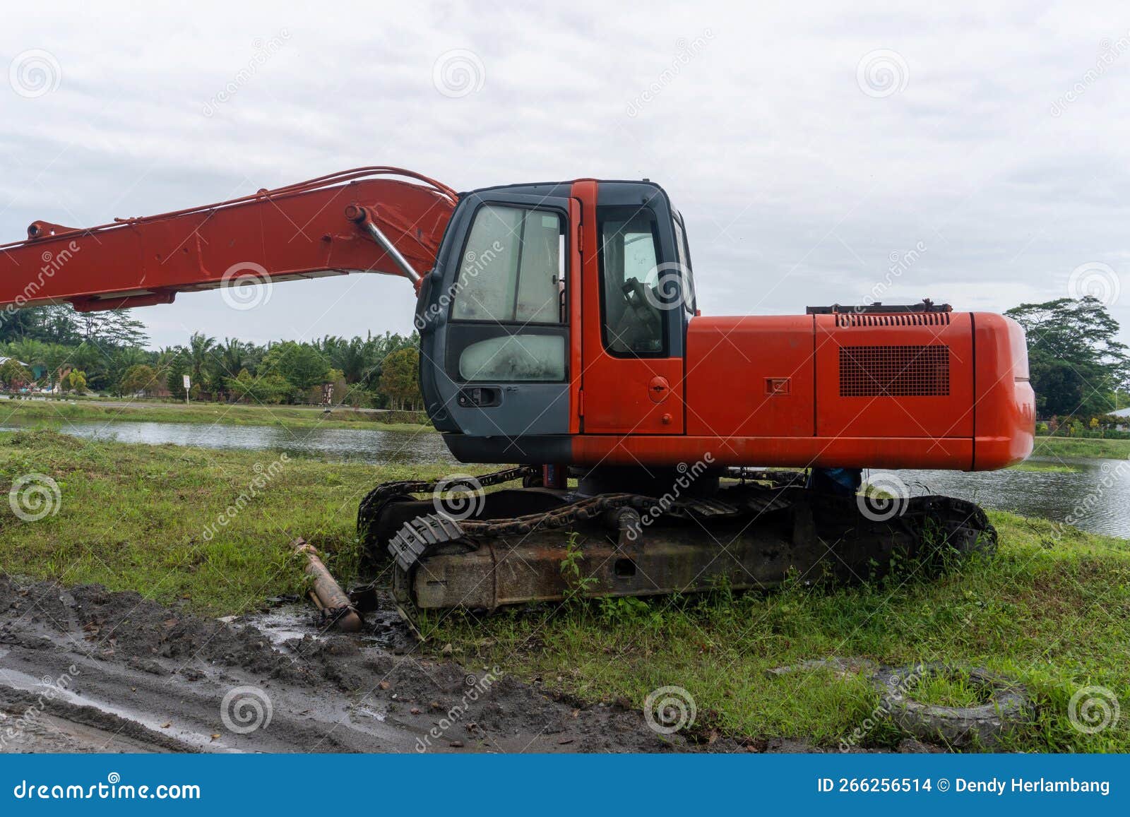 Broken Excavator Abandoned in the Middle of Plantation Nature Stock