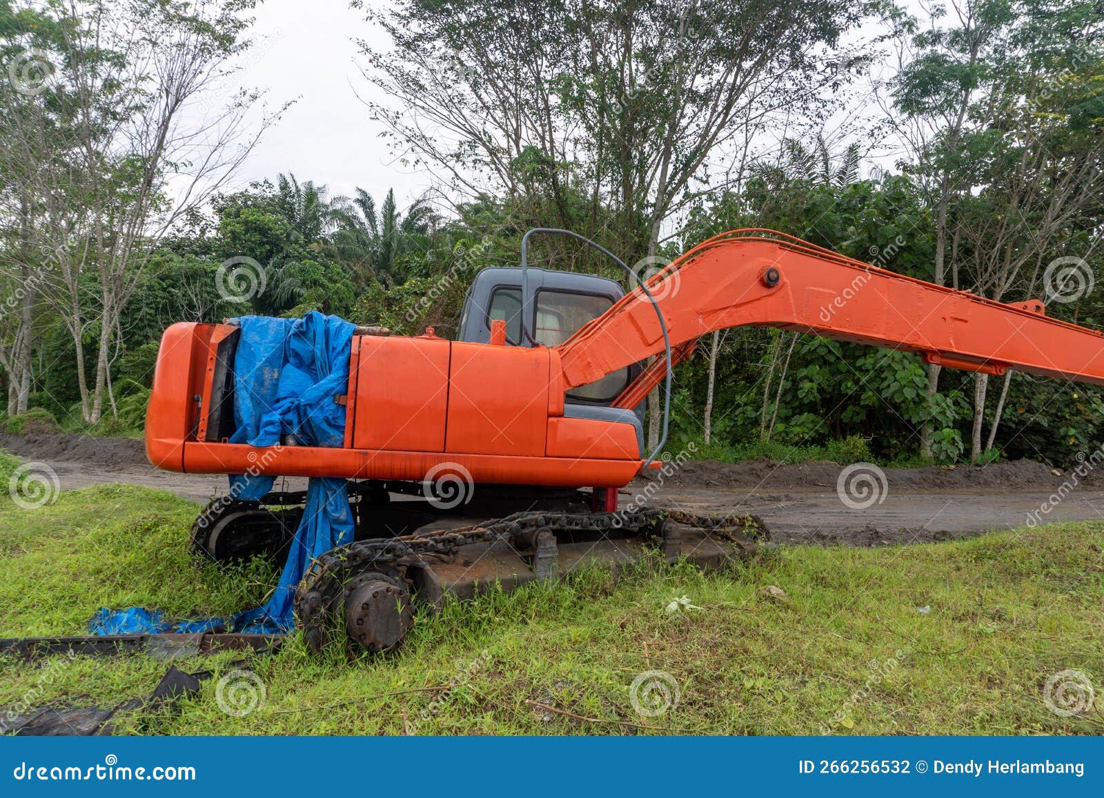 Broken Excavator Abandoned in the Middle of Plantation Nature Stock