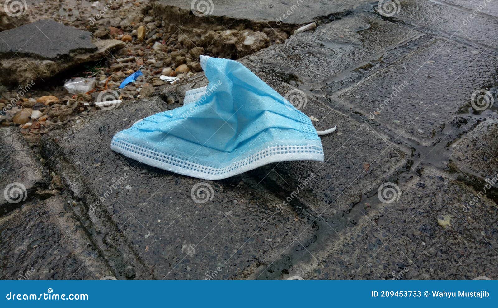 Broken Facemask in My Backyard Stock Image Image of broken, corona