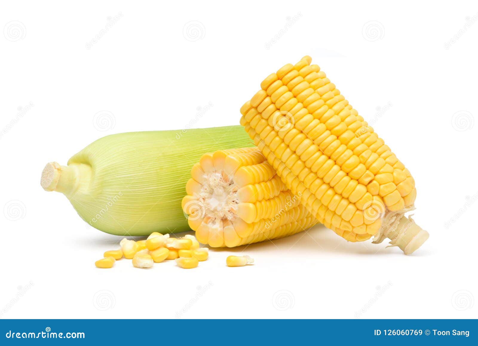 Broken Freshly Peeled Corn in Half Stock Image Image of husk, broken