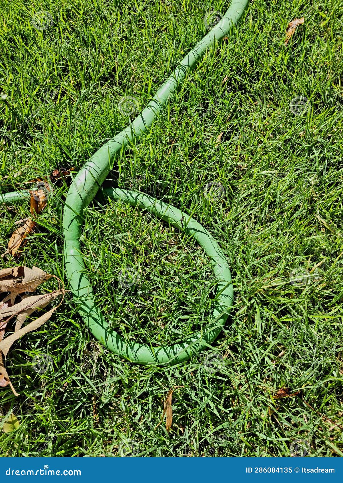 Broken garden hose stock image. Image of flower, grass 286084135