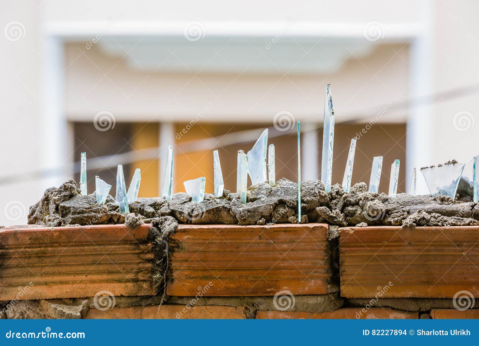Broken Glass Cemented on Top of Barbed Wire Wall Stock Photo Image of