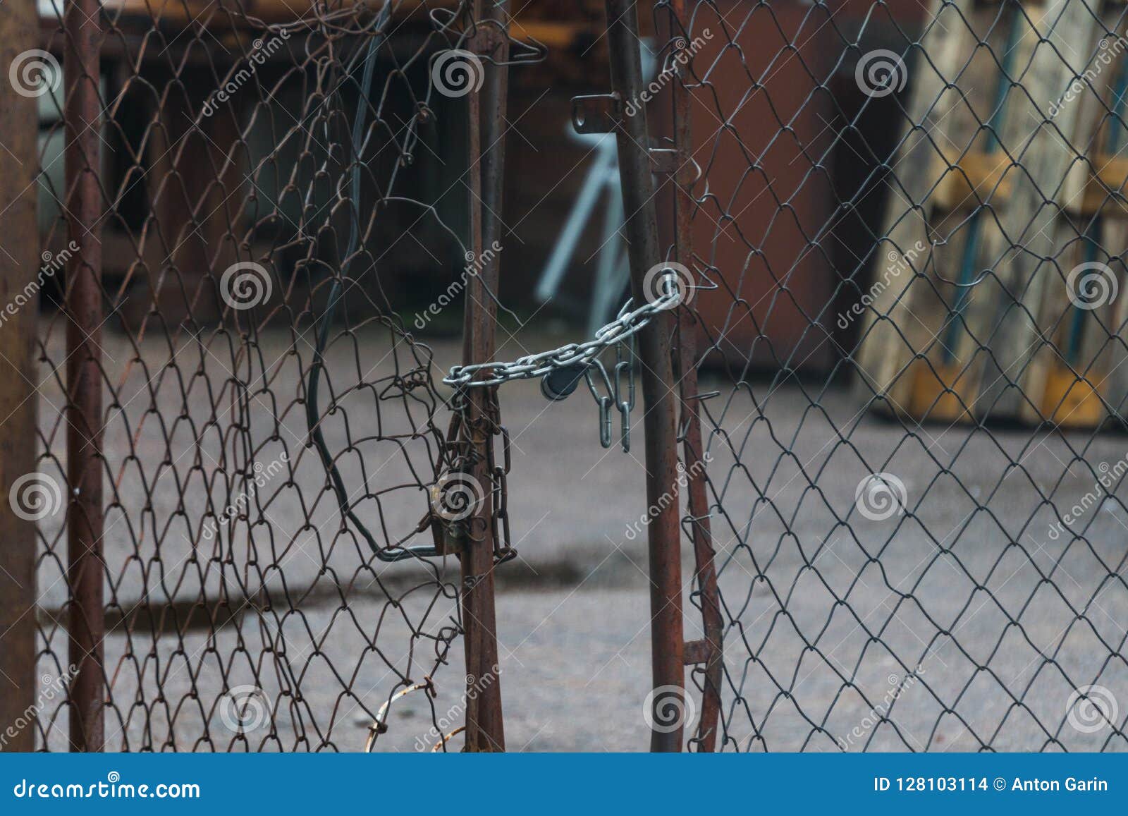Broken Mesh Gate with a Lock and Chain Stock Photo Image of