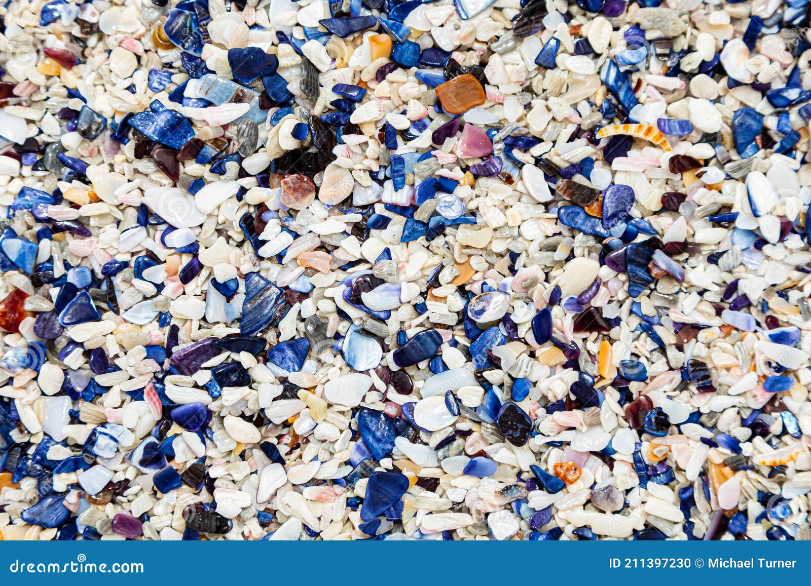 Broken Mussel Shells Washed Up on a Beach Stock Photo Image of meal
