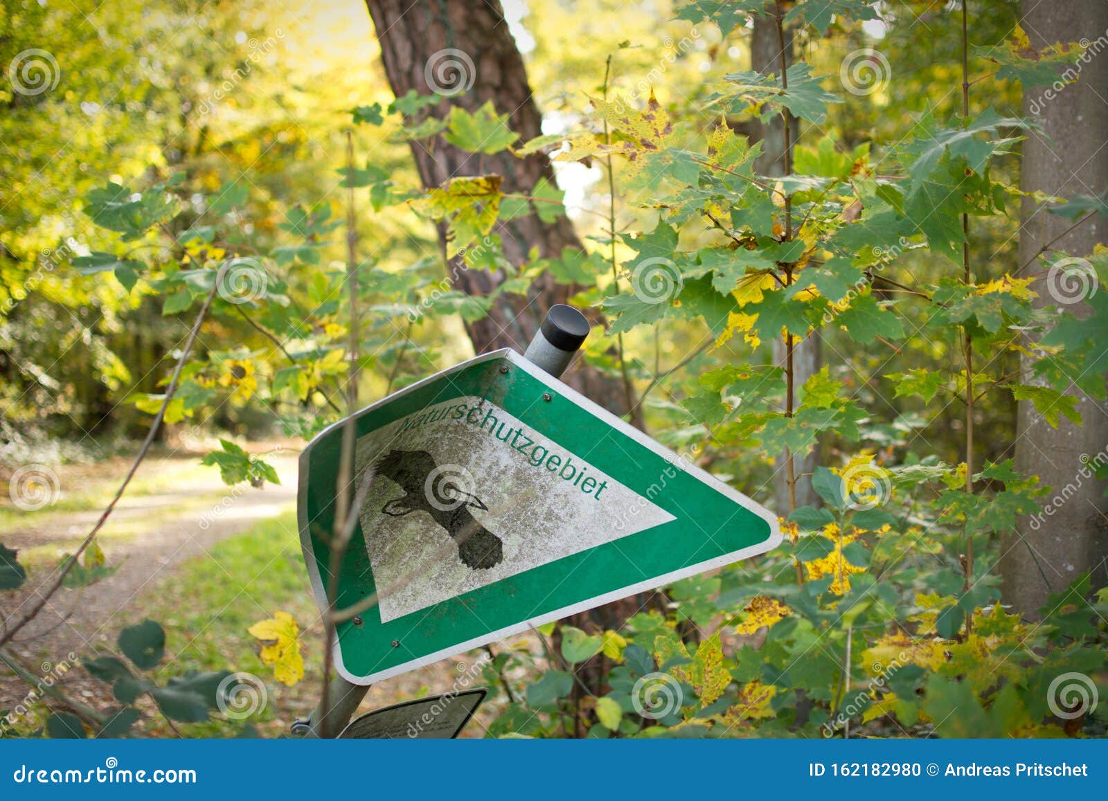 Broken Nature Protection Area Sign Stock Photo Image of tree: 162182980