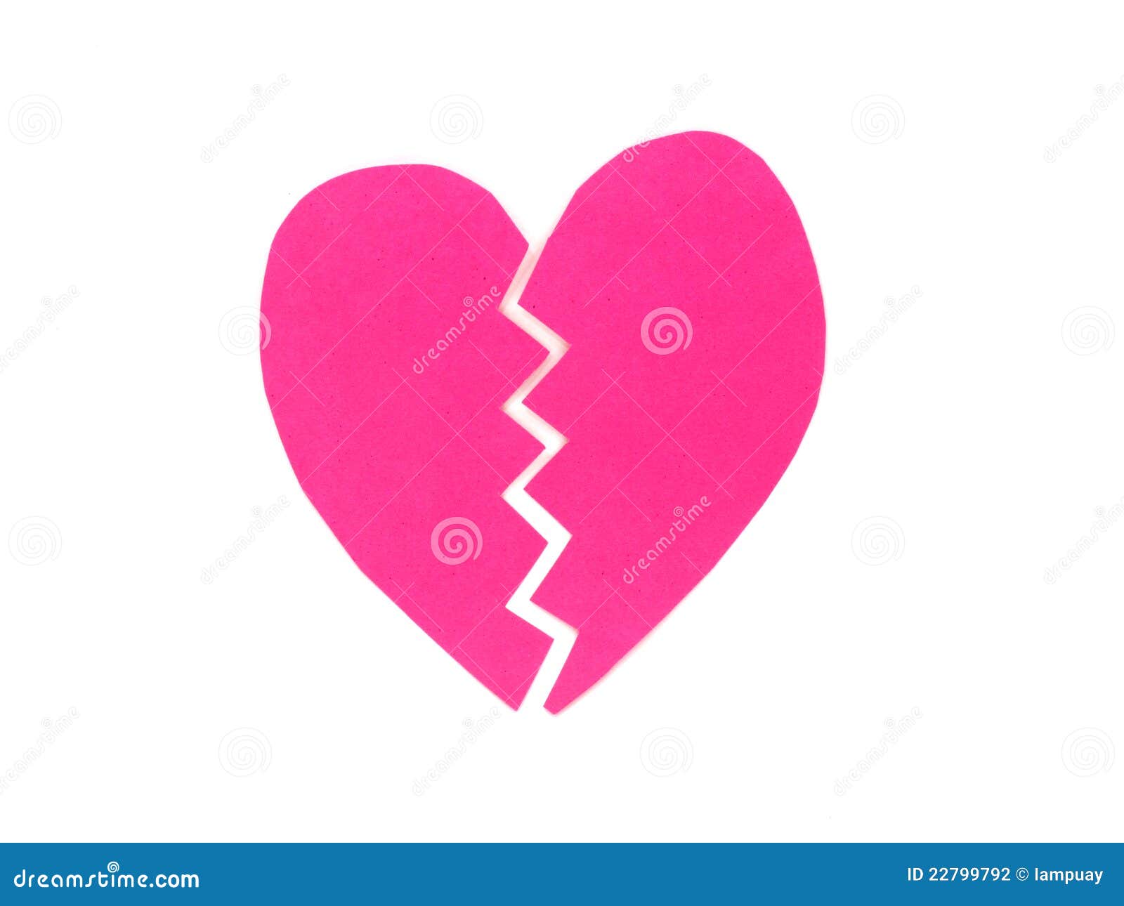 wild heart can wild heart can