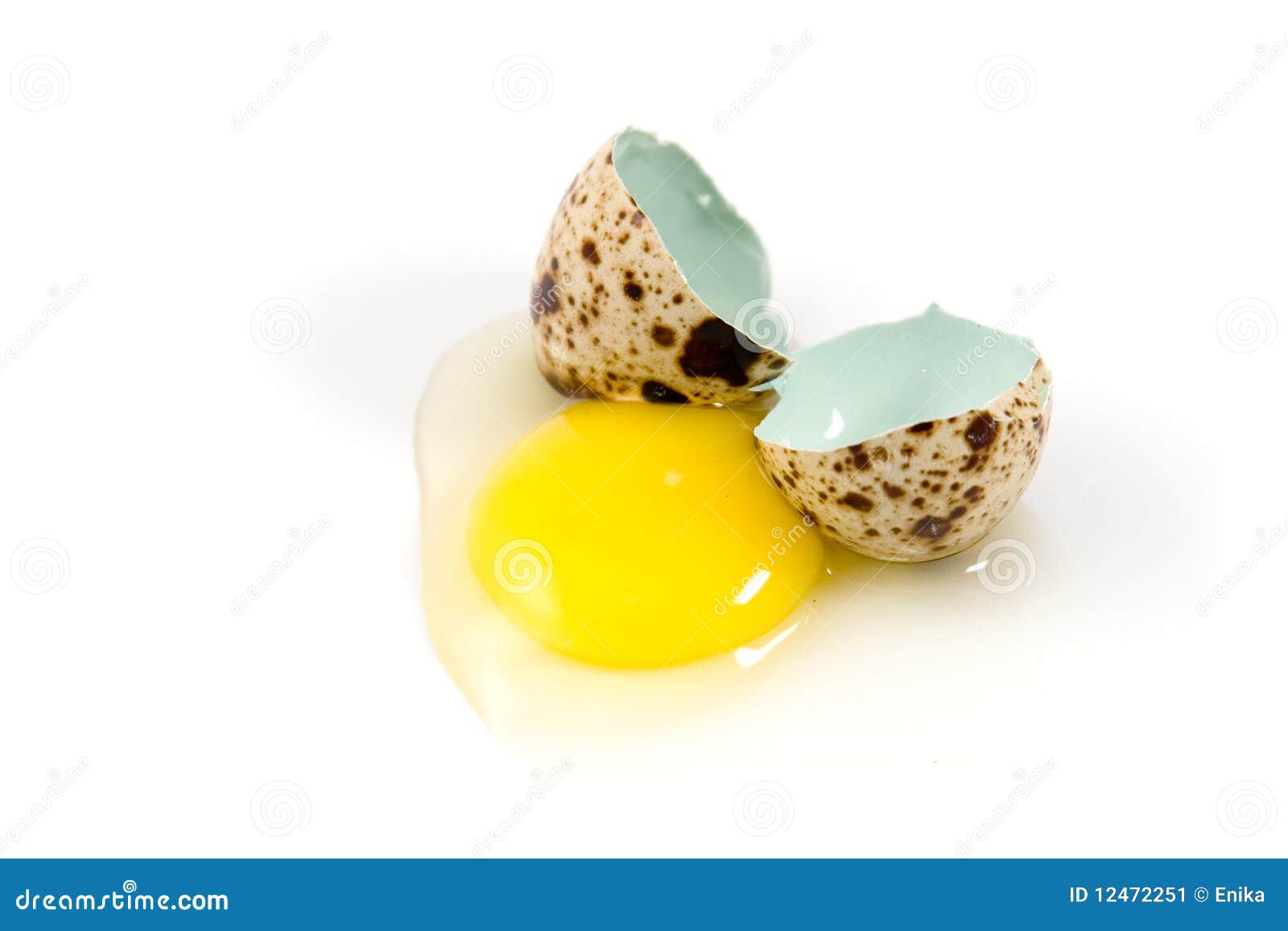 Broken quail eggs isolated stock image. Image of quail 12472251