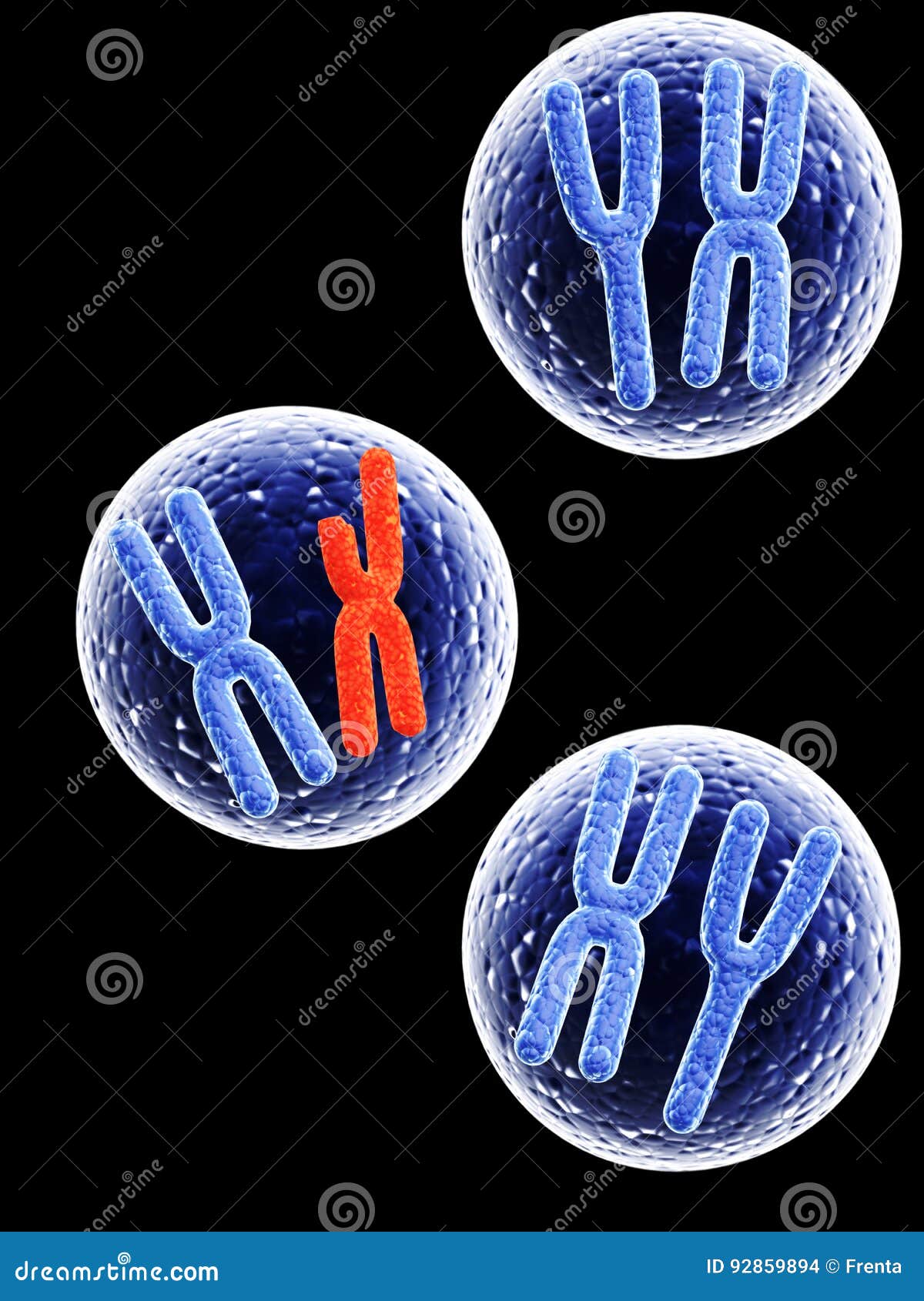 Chromosomes là những hạt di truyền quan trọng nhất trong cơ thể con người. Hãy xem những bức ảnh liên quan đến Chromosomes của chúng tôi và tìm hiểu thêm về chúng.