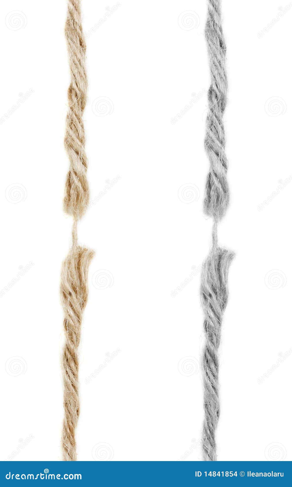 Broken rope stock photo. Image of fiber, cord, danger 14841854