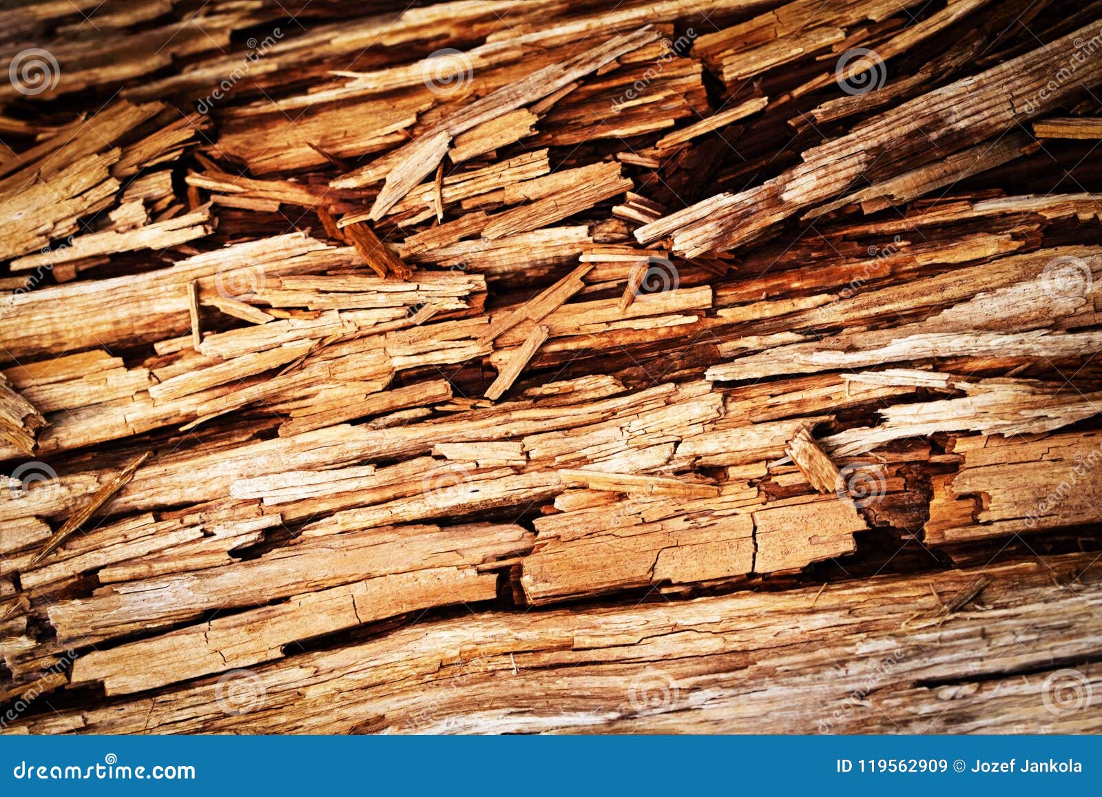 Broken rotten wood stock image. Image of isolated, environment 119562909