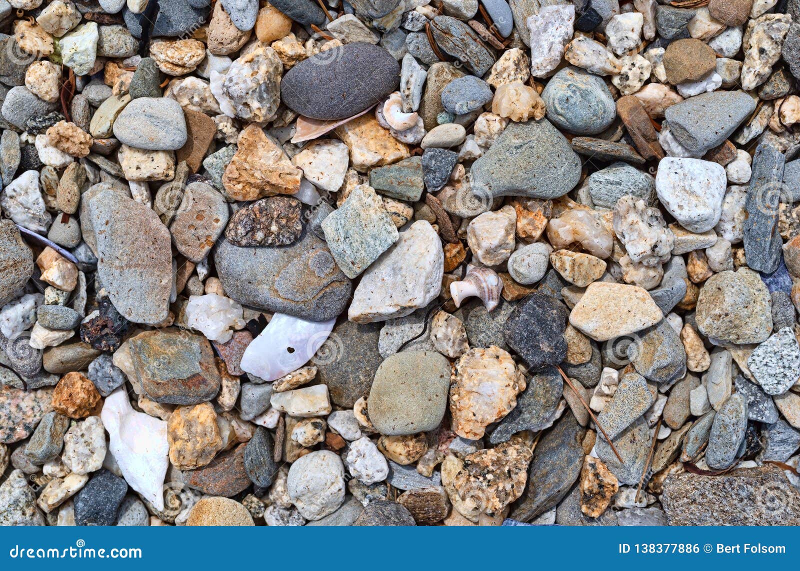 Broken Shells and Gravel Close View Stock Photo Image of oxidized