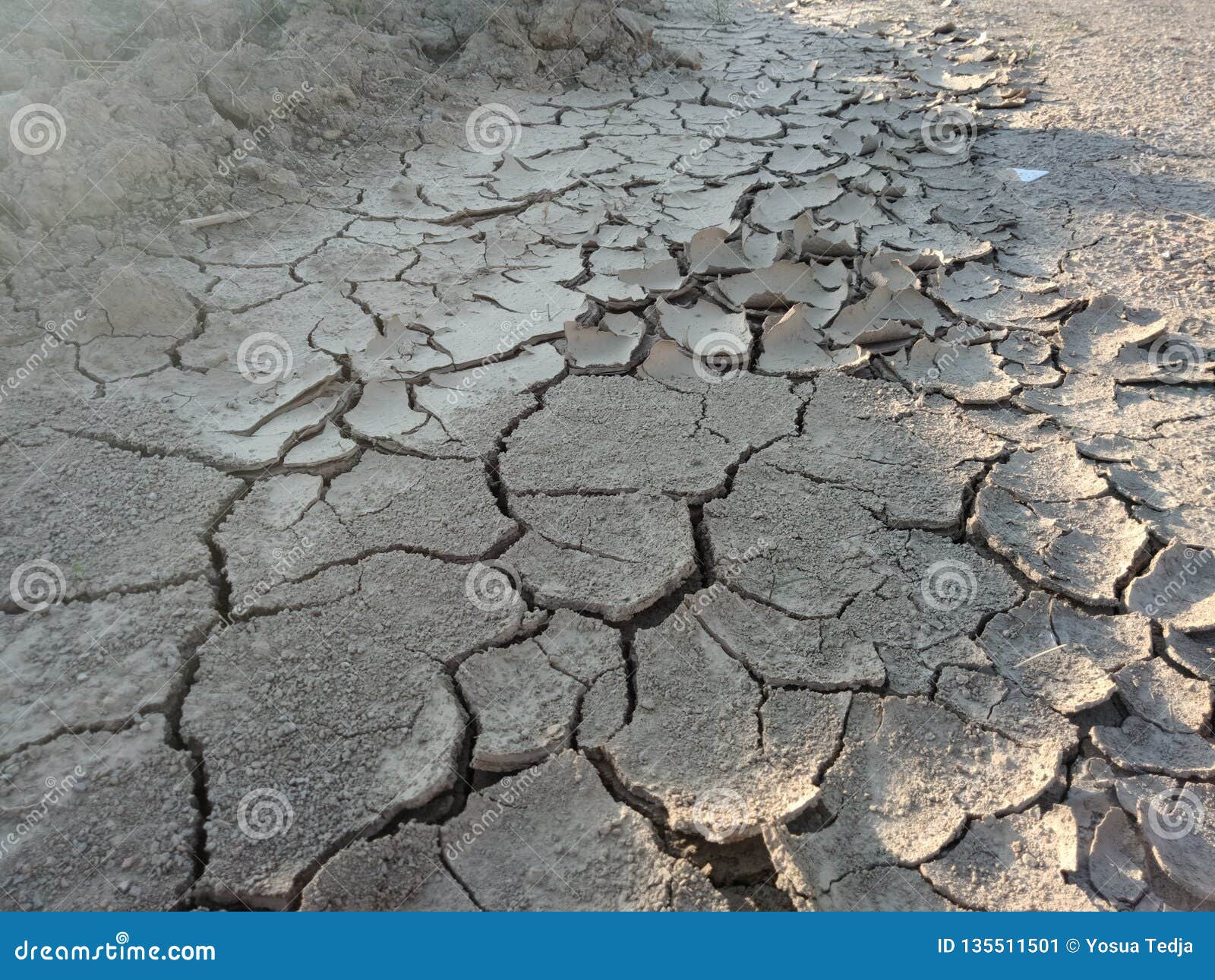 Broken Soil stock image. Image of broken, watched, soil 135511501