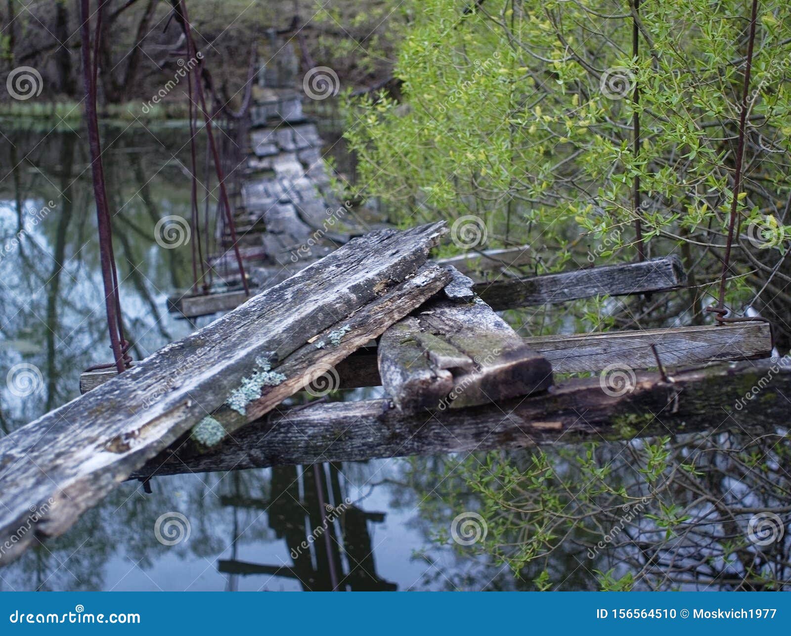 Broken Suspension Bridge on Spring Evening Stock Photo Image of