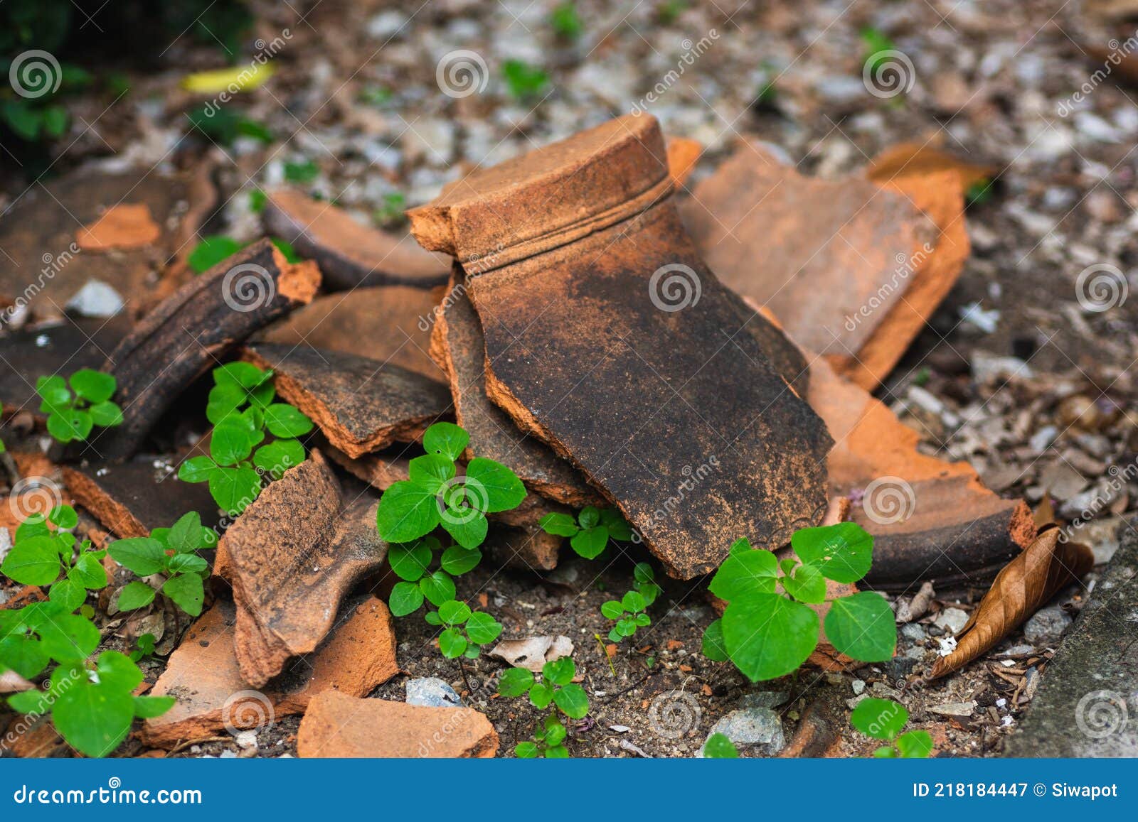 Broken Terracotta Flower Pots on Nature Background Stock Image Image