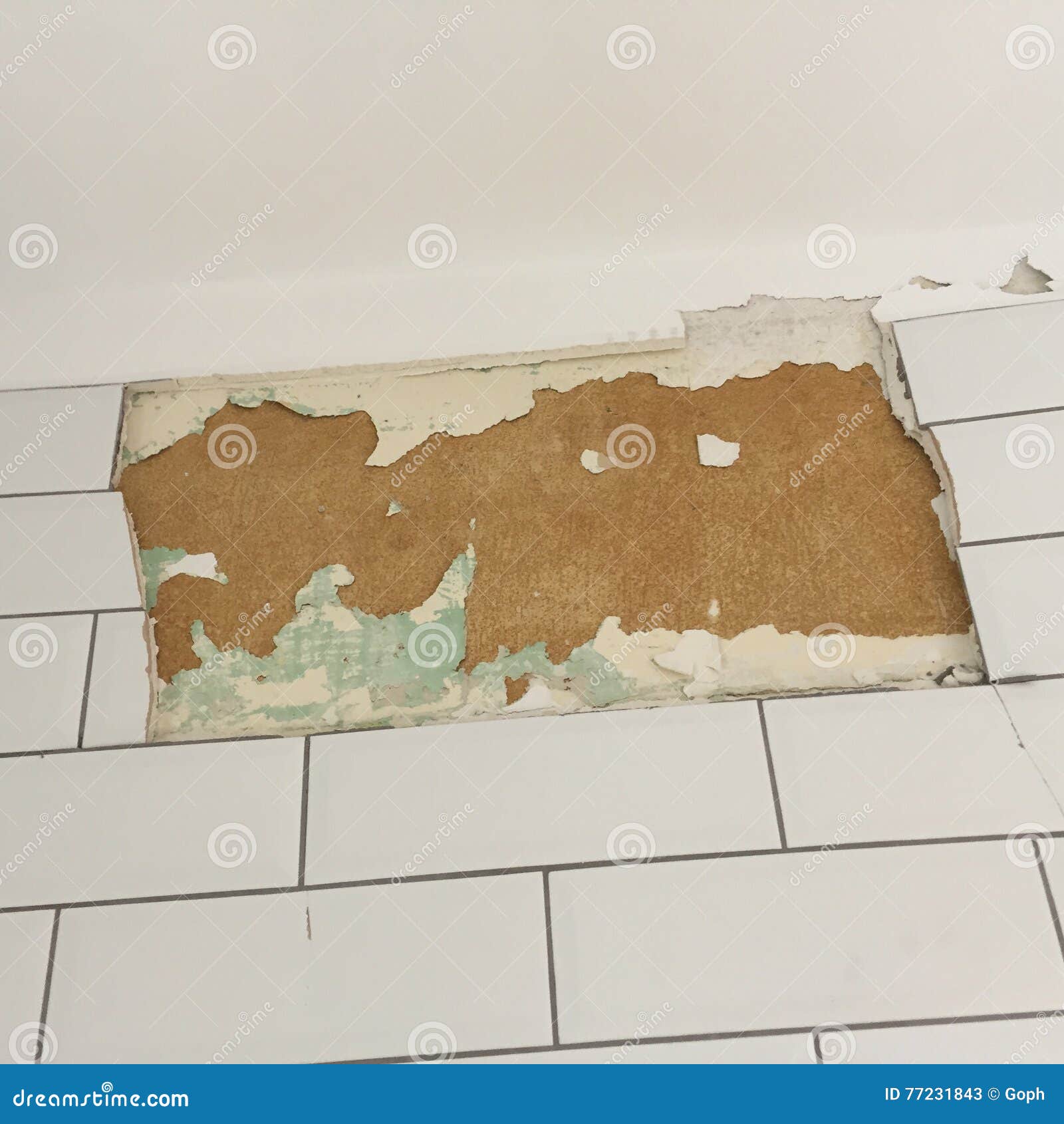 Broken Tiles Fix Stock Image Image Of Tile Repair Tiles 77231843