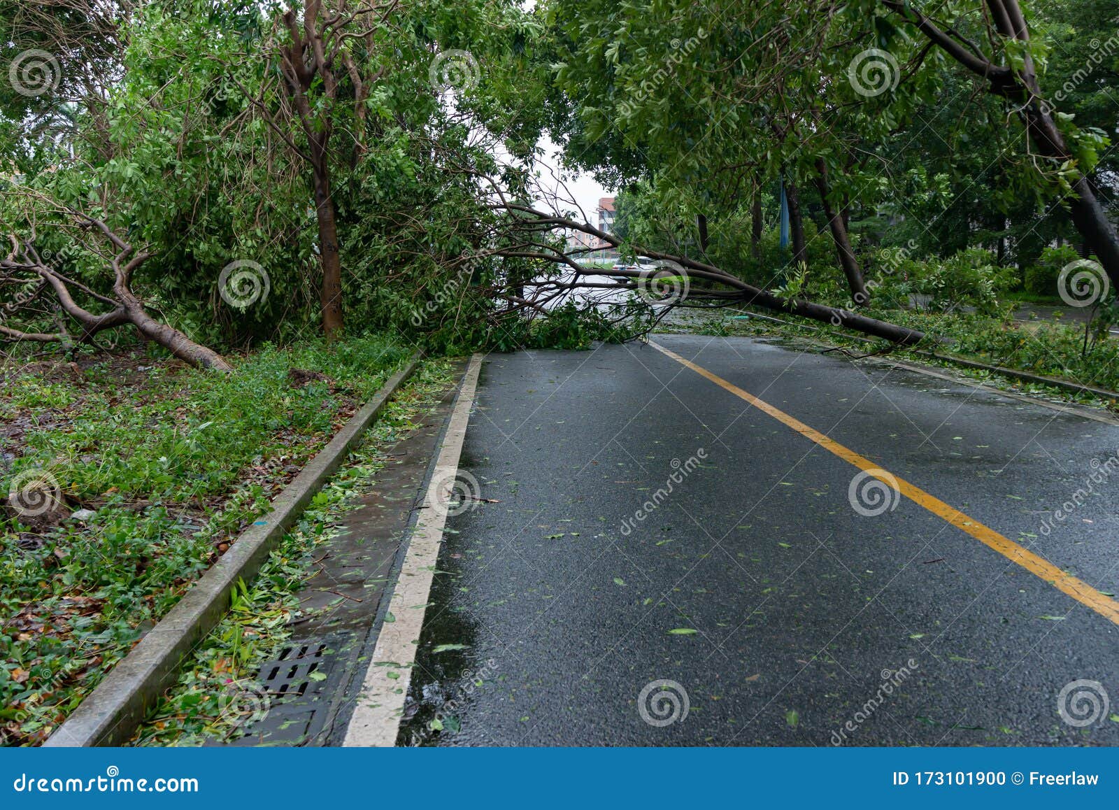 broken roads in storm broken roads in storm