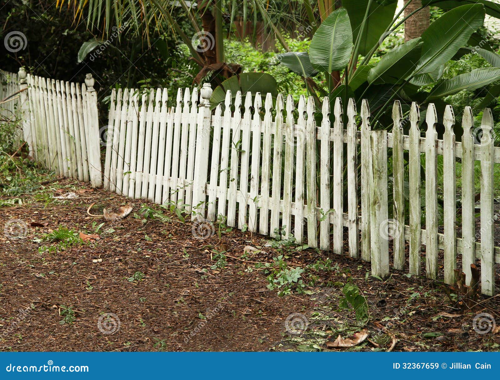 Chestnut Paling Fencing Painted Off White You Can Paint It Any Colour You Like But Best To Do It Before The Metal Fence Backyard Fences Wood Fence Design